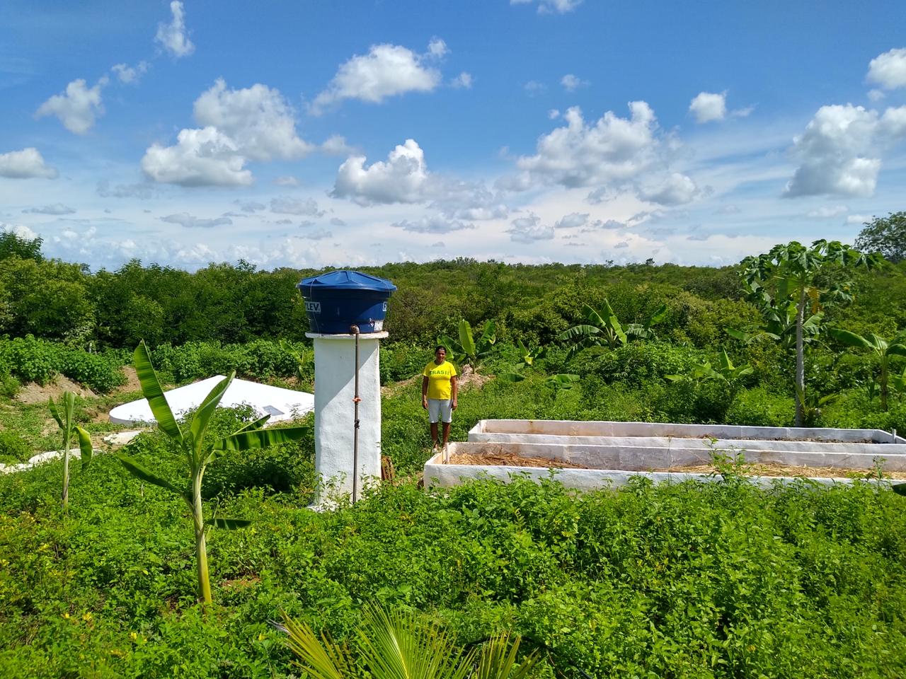Cisterna de enxurradas em área de plantio