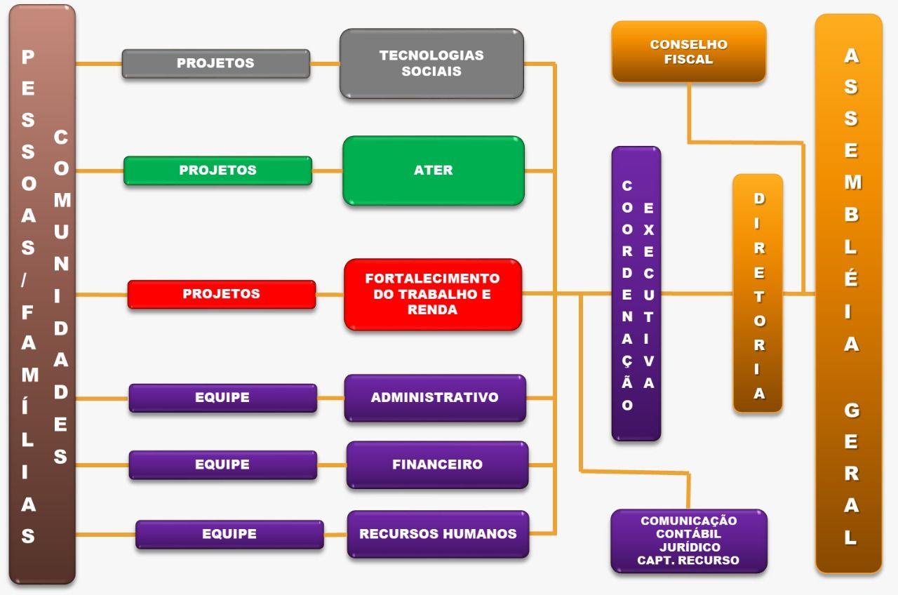 Organograma do CEALTRU: assembleia geral, diretoria, coordenação executiva, conselho fiscal, as três frentes com seus projetos e as equipes administrativa, financeira e de recursos humanos