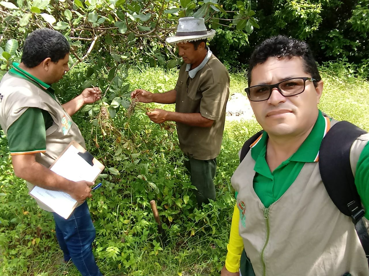 Técnicos do CEALTRU em visita a um quintal produtivo