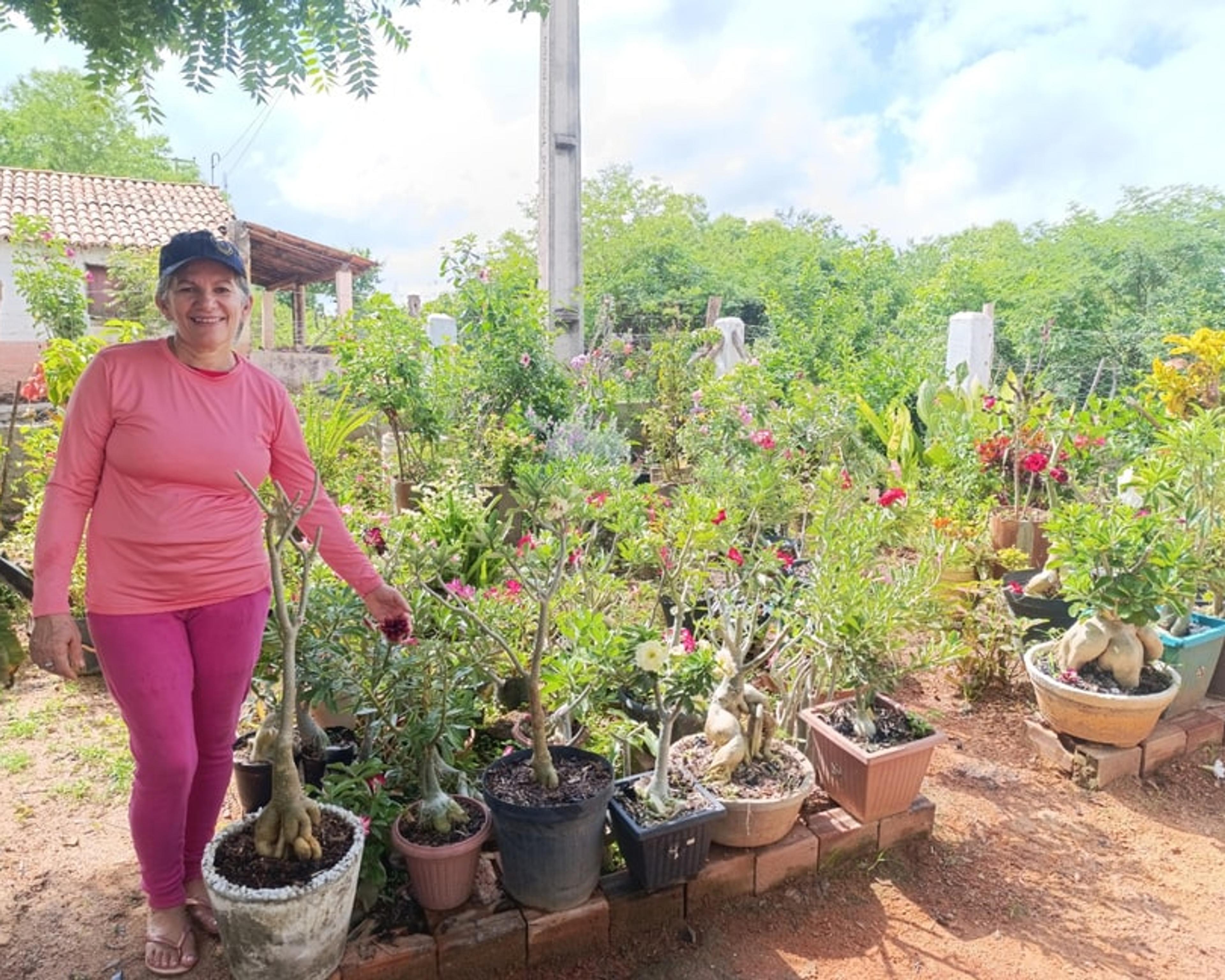 Terezinha Soares, a Tete, sorrindo entre os vasos de rosas do deserto do jardim dela, na comunidade de Teixeiras, em Ipu.