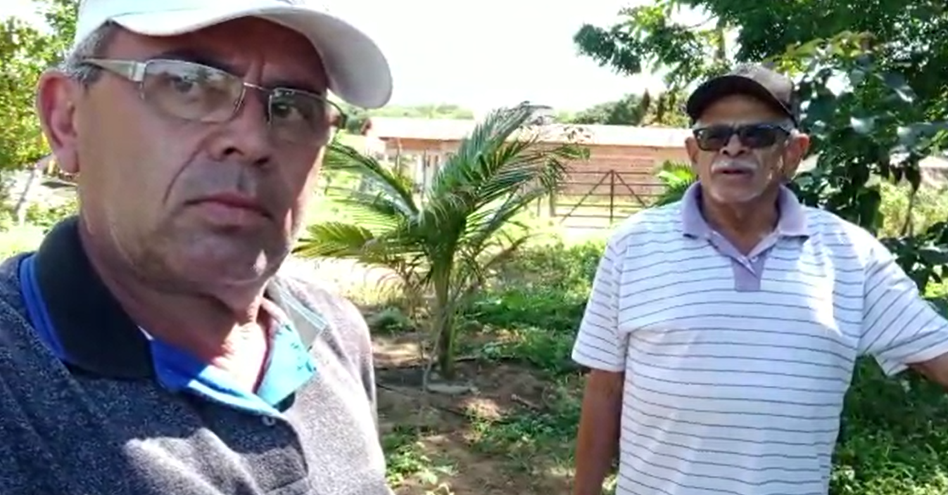 VÍDEO: CEALTRU ASSESSORA TECNICAMENTE E CONTRIBUI COM O CONHECIMENTO DOS AGRICULTORES NA CADEIA PRODUTIVA DA AVICULTURA NA REGIÃO DO CARIRI NO ESTADO DO CEARÁ