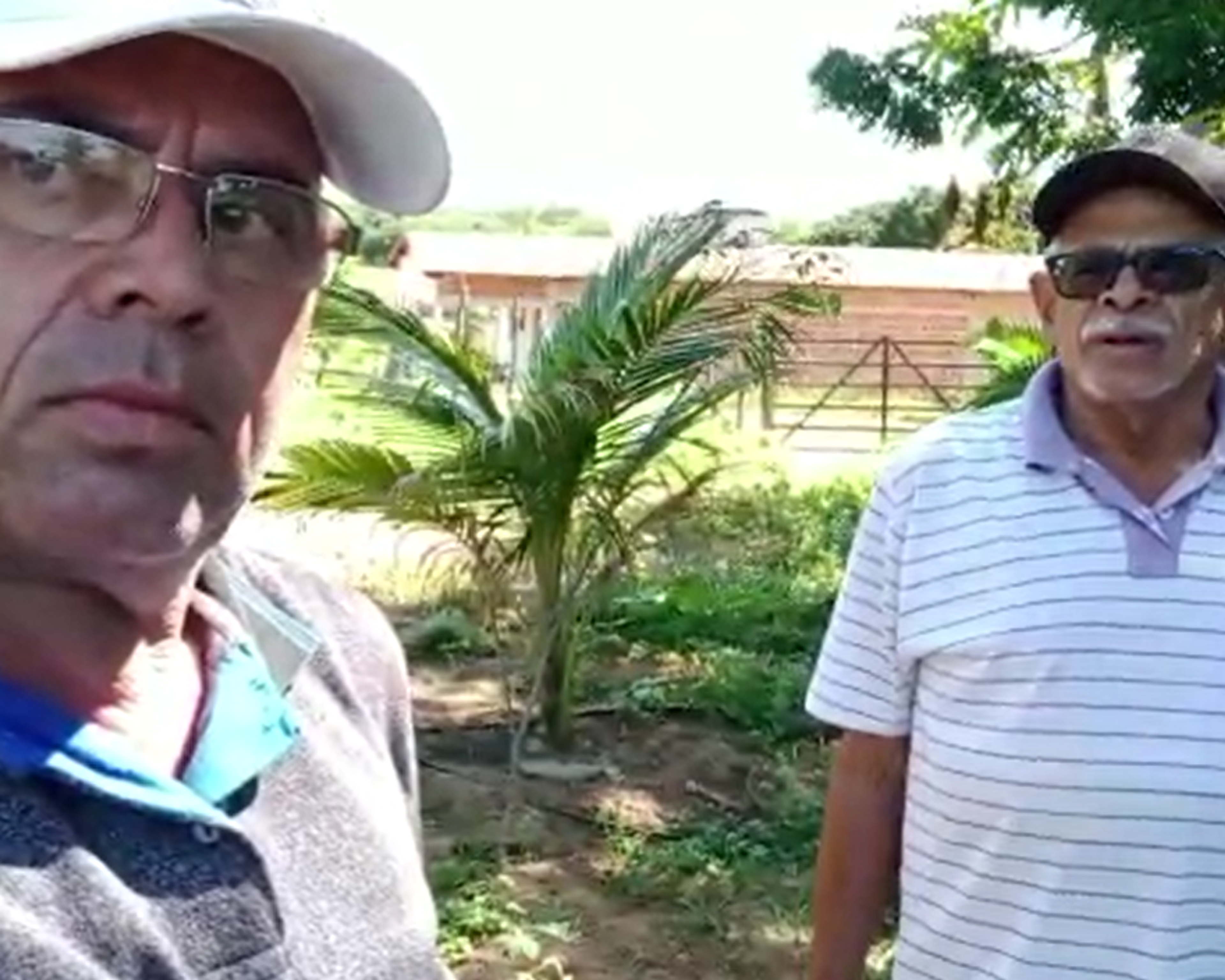 VÍDEO: CEALTRU ASSESSORA TECNICAMENTE E CONTRIBUI COM O CONHECIMENTO DOS AGRICULTORES NA CADEIA PRODUTIVA DA AVICULTURA NA REGIÃO DO CARIRI NO ESTADO DO CEARÁ