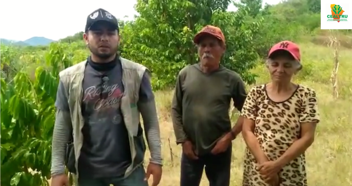 VÍDEO: CEALTRU ASSESSORA TECNICAMENTE E COLABORA COM O TRABALHO EFICIENTE DOS AGRICULTORES NA CADEIA PRODUTIVA DA FRUTICULTURA