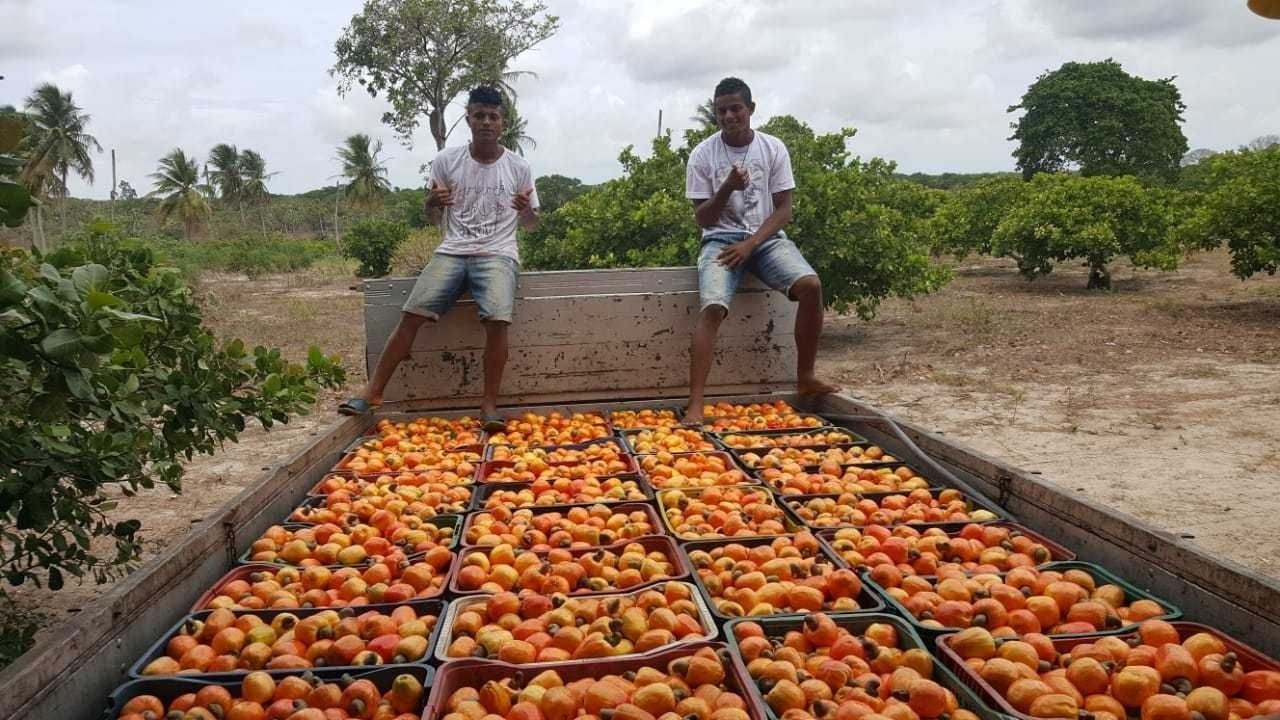 Integração de políticas públicas gera trabalho e renda junto a agricultura familiar no Ceará