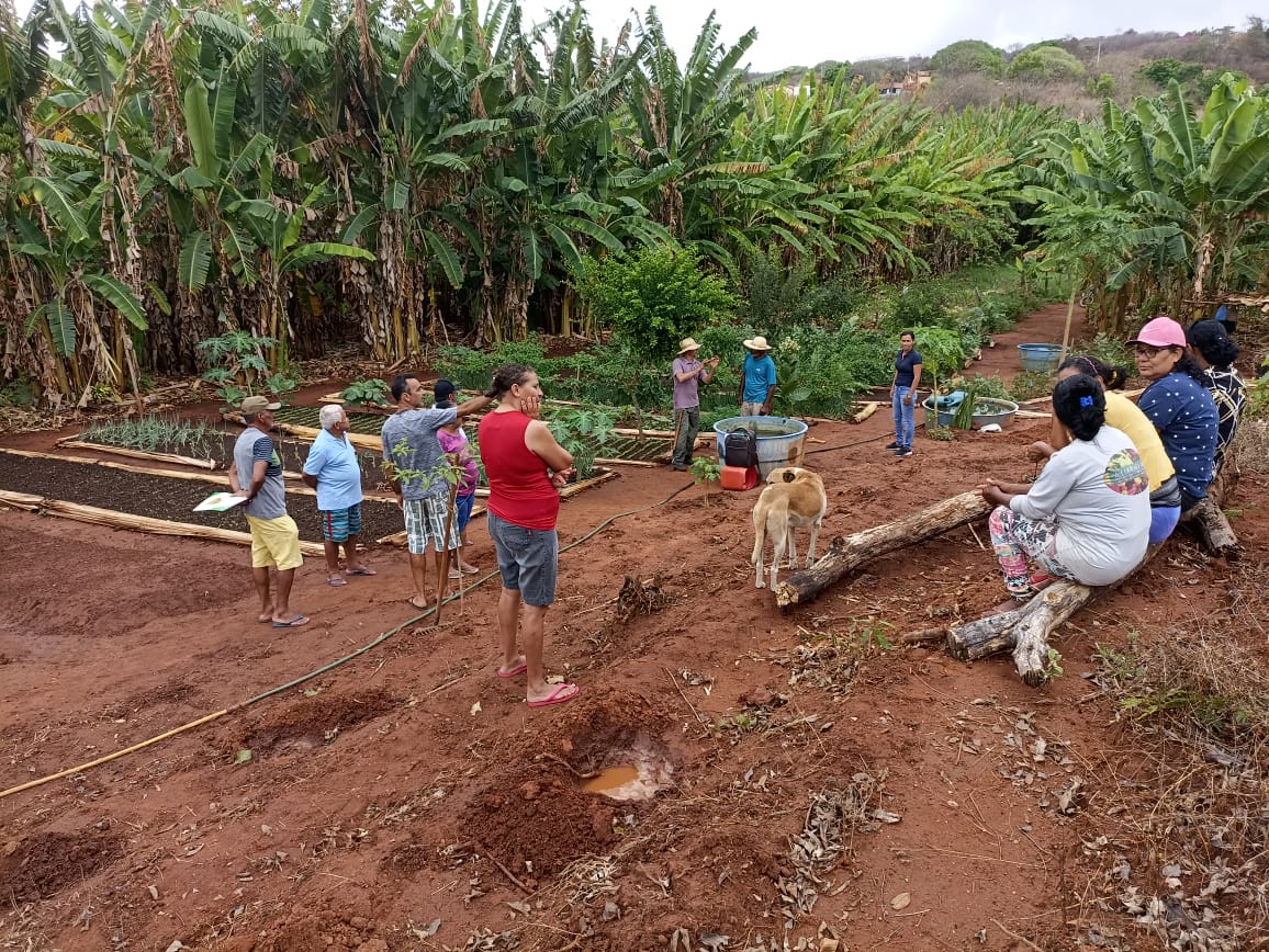 CEALTRU, ATRAVÉS DE SUA EQUIPE TÉCNICA, PROMOVE DIA DE CAMPO NO MUNICÍPIO DE ALTANEIRA, NA COMUNIDADE TABOQUINHA