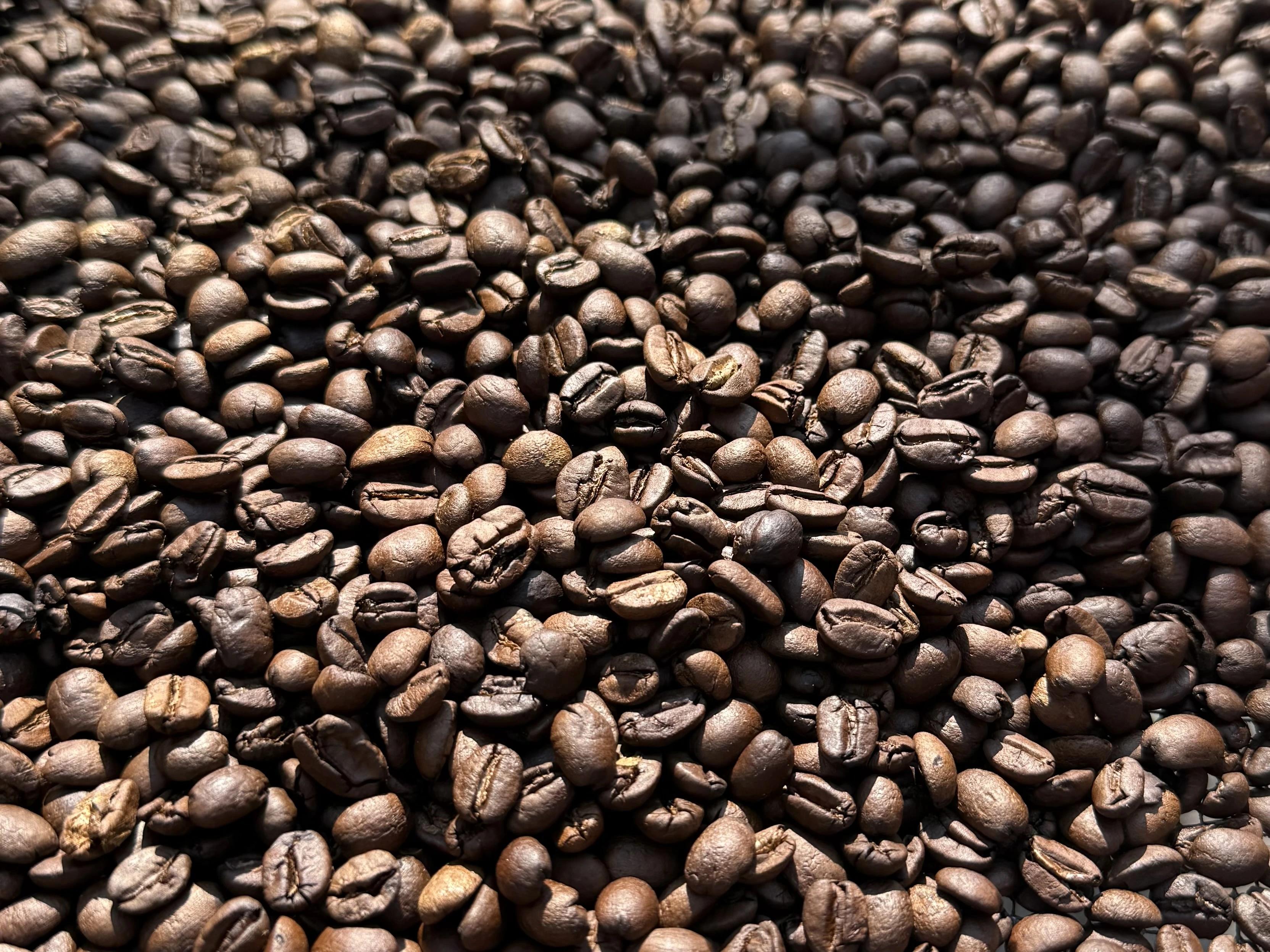 Historia del cafetal 1