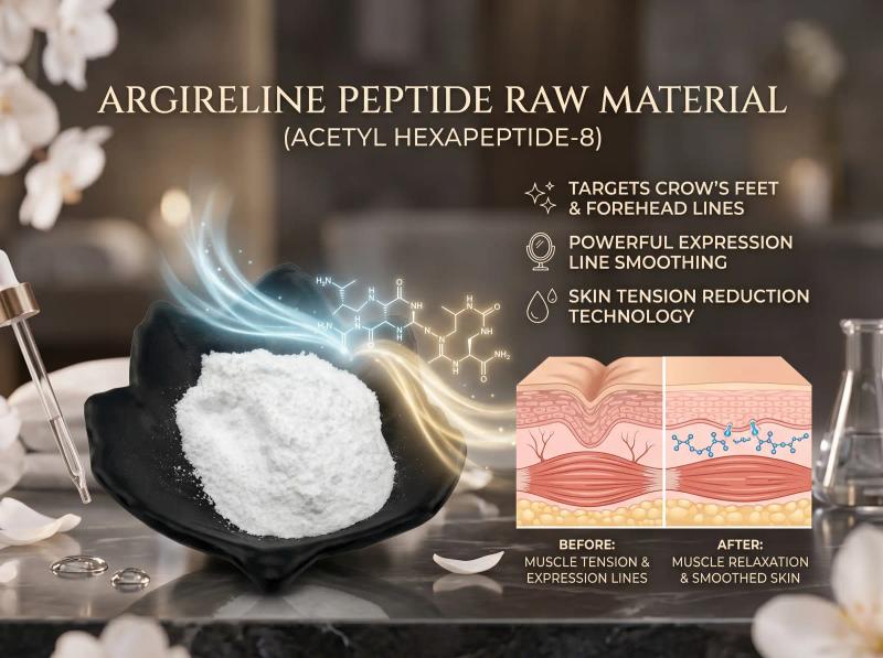 Argireline (Acetyl Hexapeptide-3 / Acetyl Hexapeptide-8) — Lipotec Anti-Expression-Line Peptide