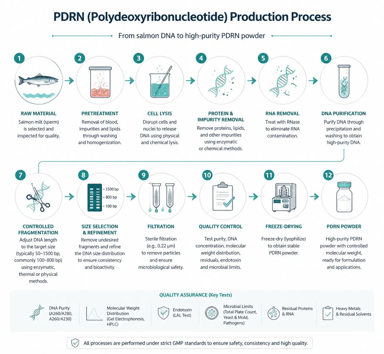 Six-step diagram of PDRN extraction process from salmon milt to purified powder