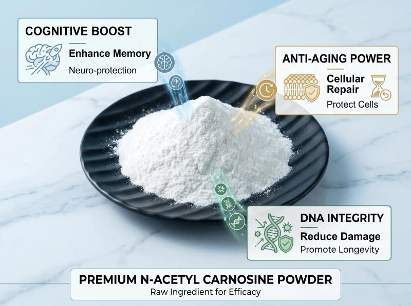 N-Acetyl-L-Carnosine — Bulk Raw Material