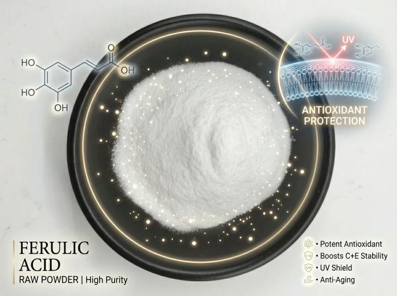 Ferulic Acid — Bulk Raw Material