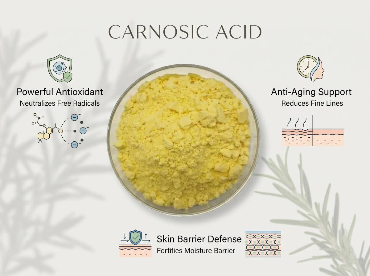 Carnosic Acid — Bulk Raw Material
