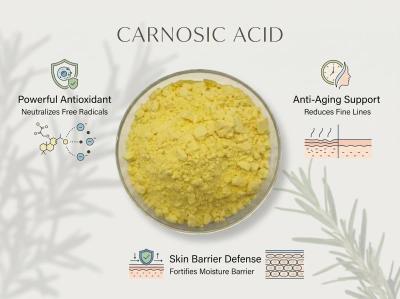 Carnosic Acid — Bulk Raw Material