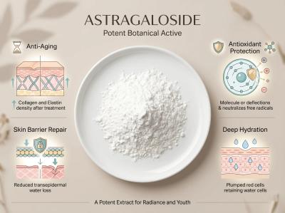 Astragaloside A Powder — High-Purity Astragaloside IV & Cycloastragenol Alternative