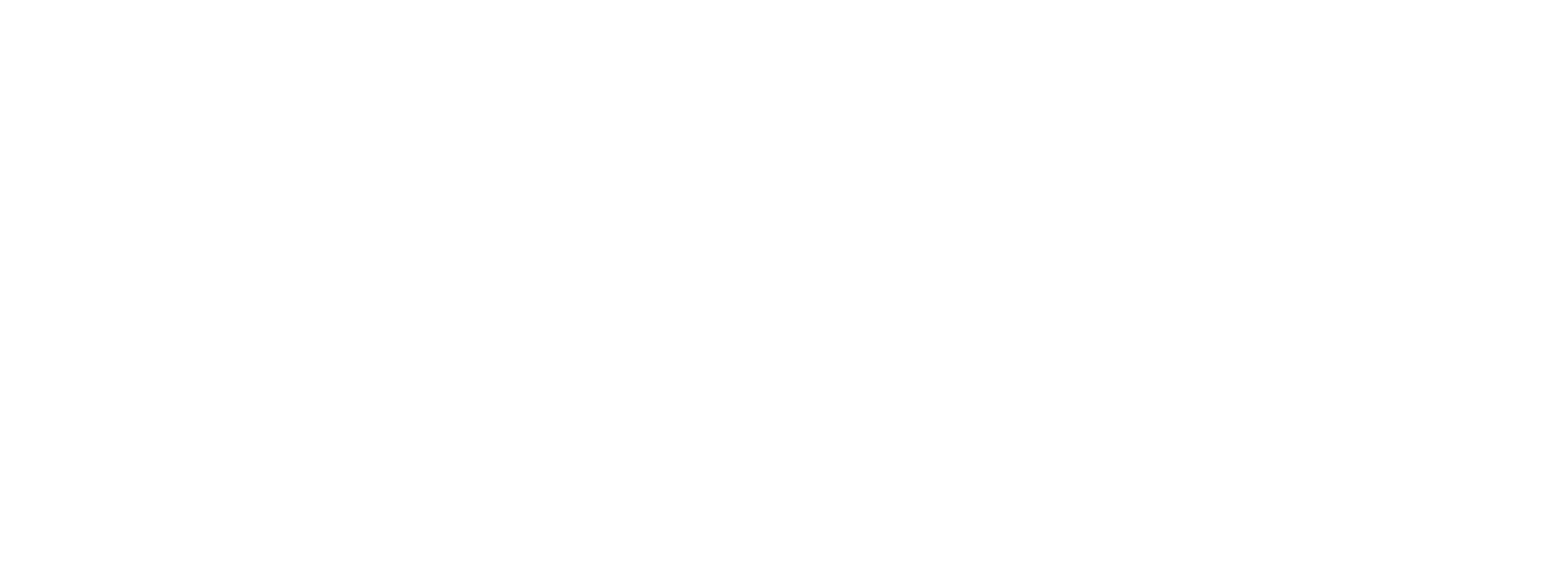 VIZULO Solutions