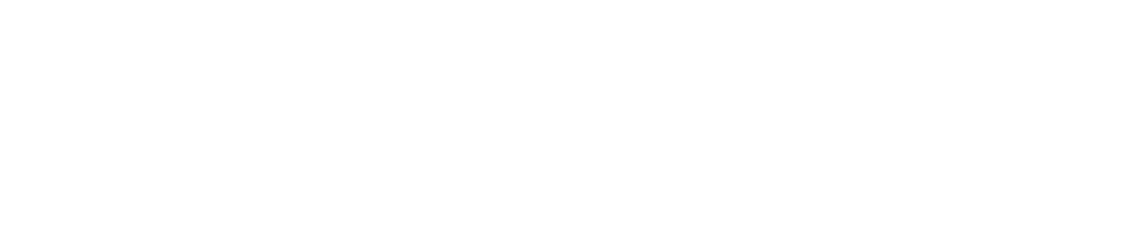Rīgas Stradiņa Universitāte