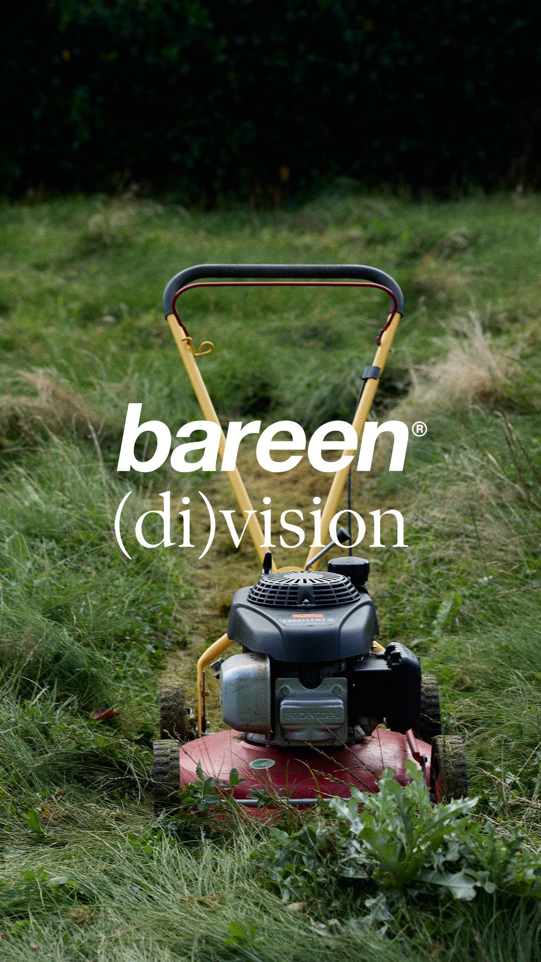 backgound image of column