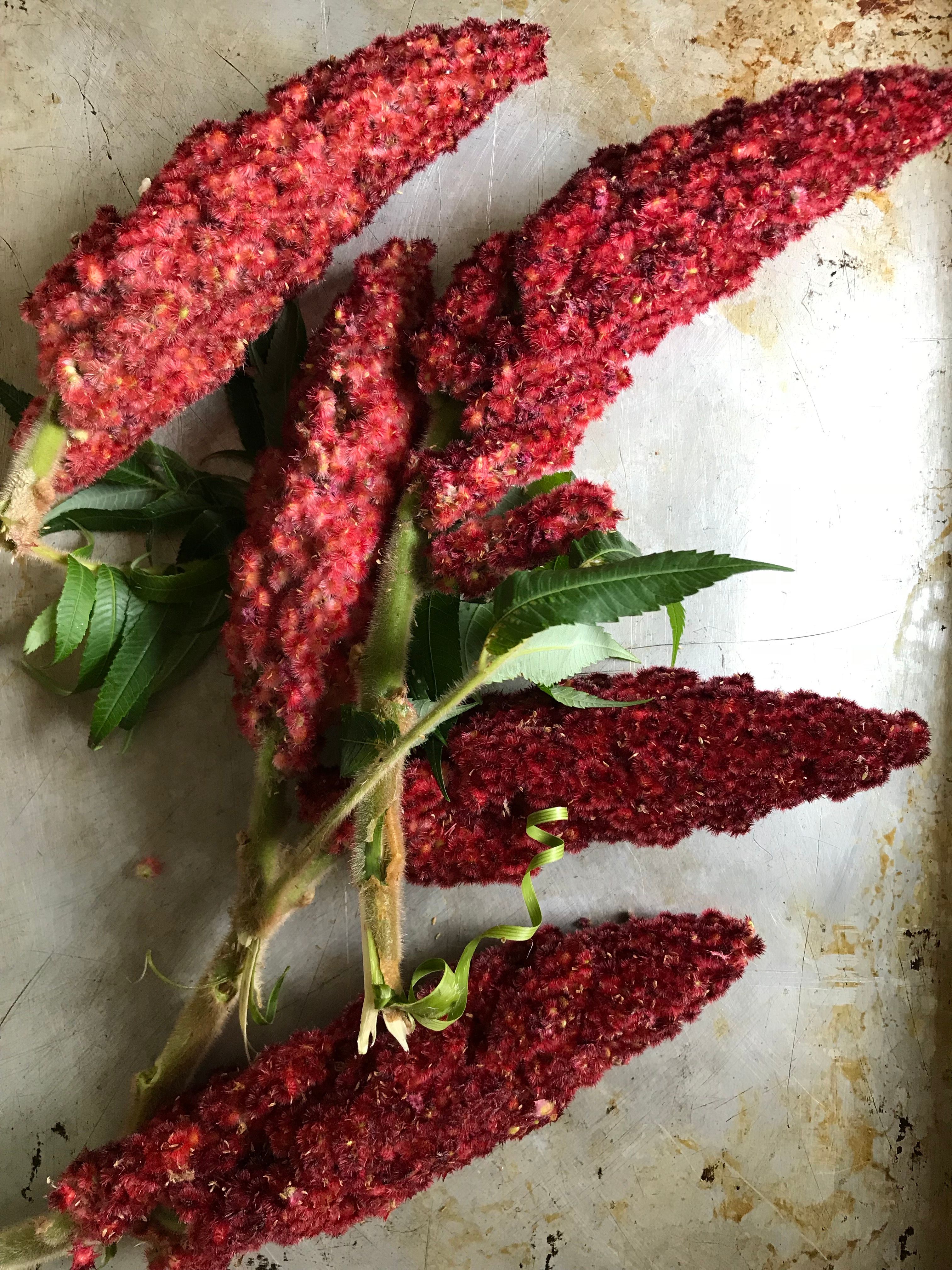 Martha Stewart Magazine: Why Sumac Deserves a Place in Your Spice Rack