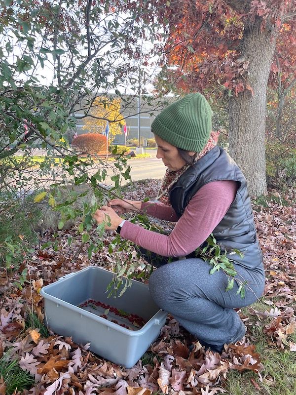 It's Foraging Season