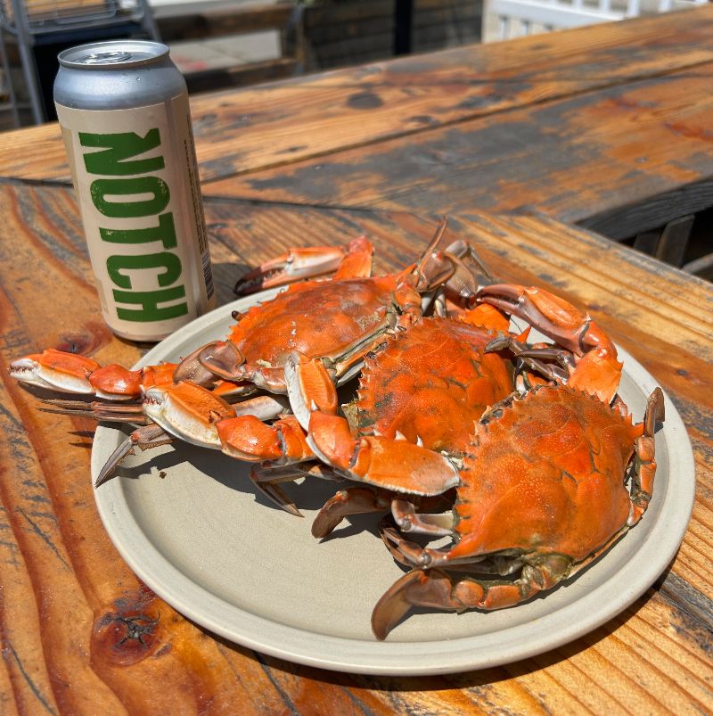 Crab Feast Returns to Notch Brewing in Brighton on June 22