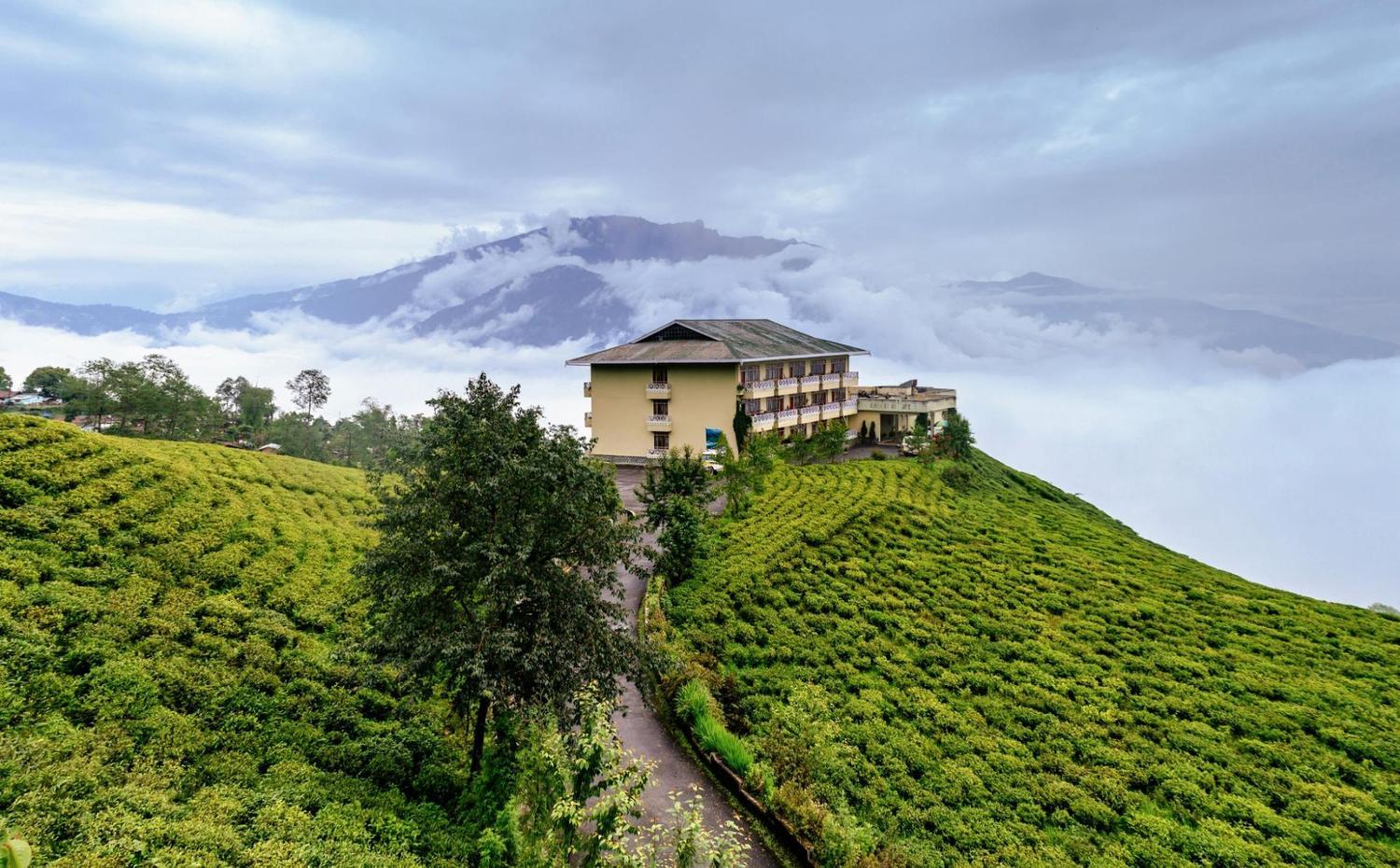 Cherry resort at Temi tea garden