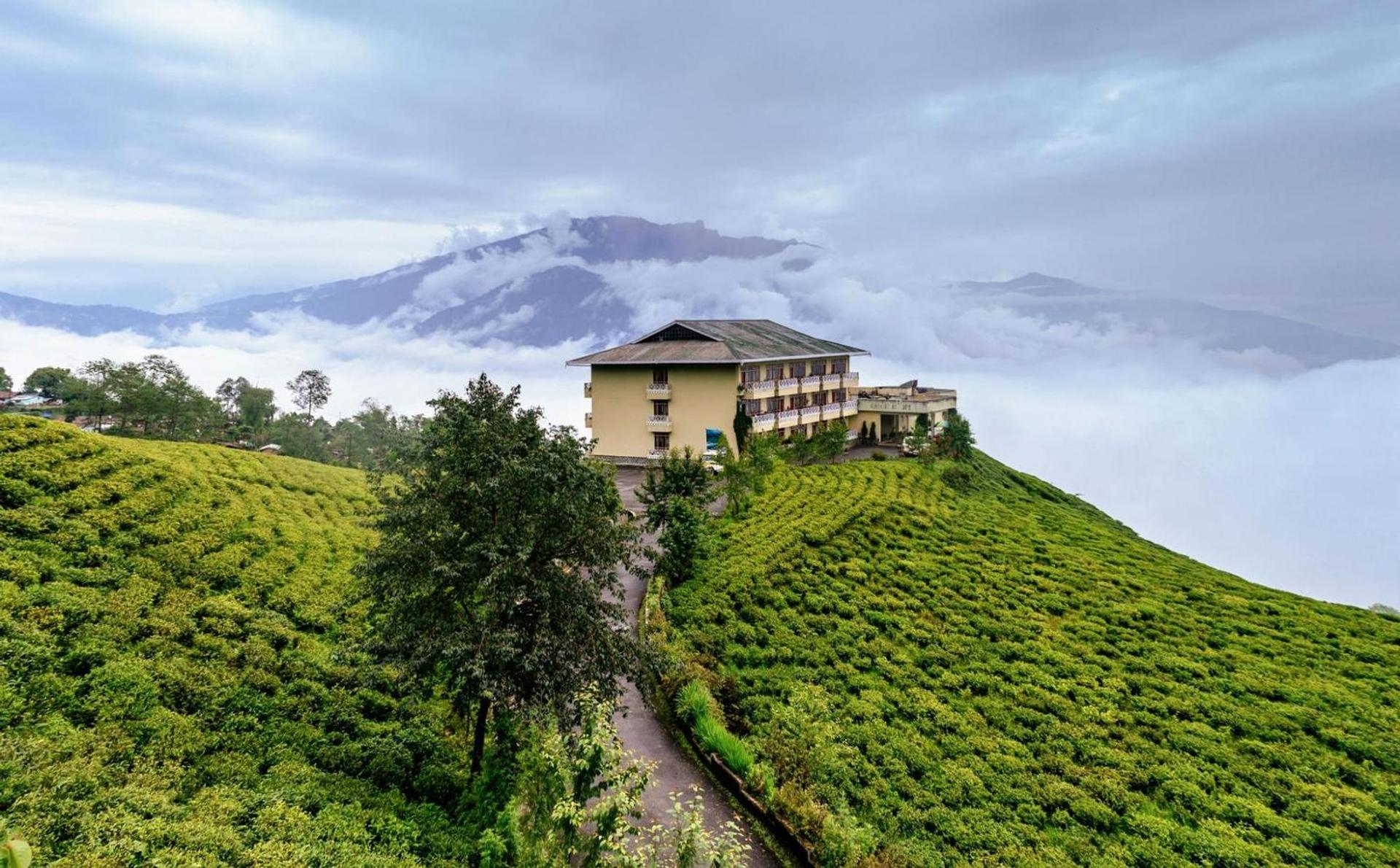 Cherry resort at Temi tea garden