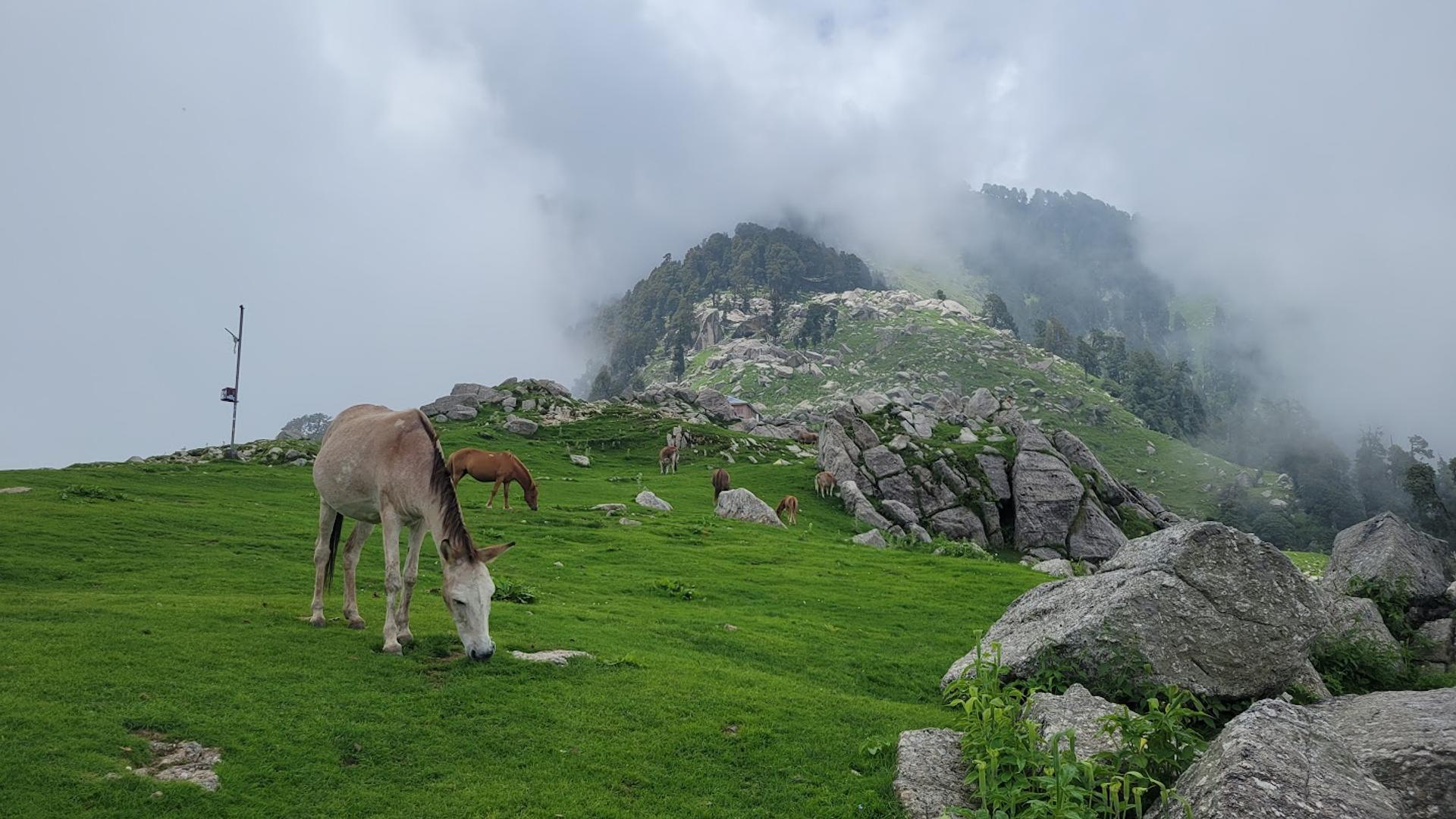 View from Triund