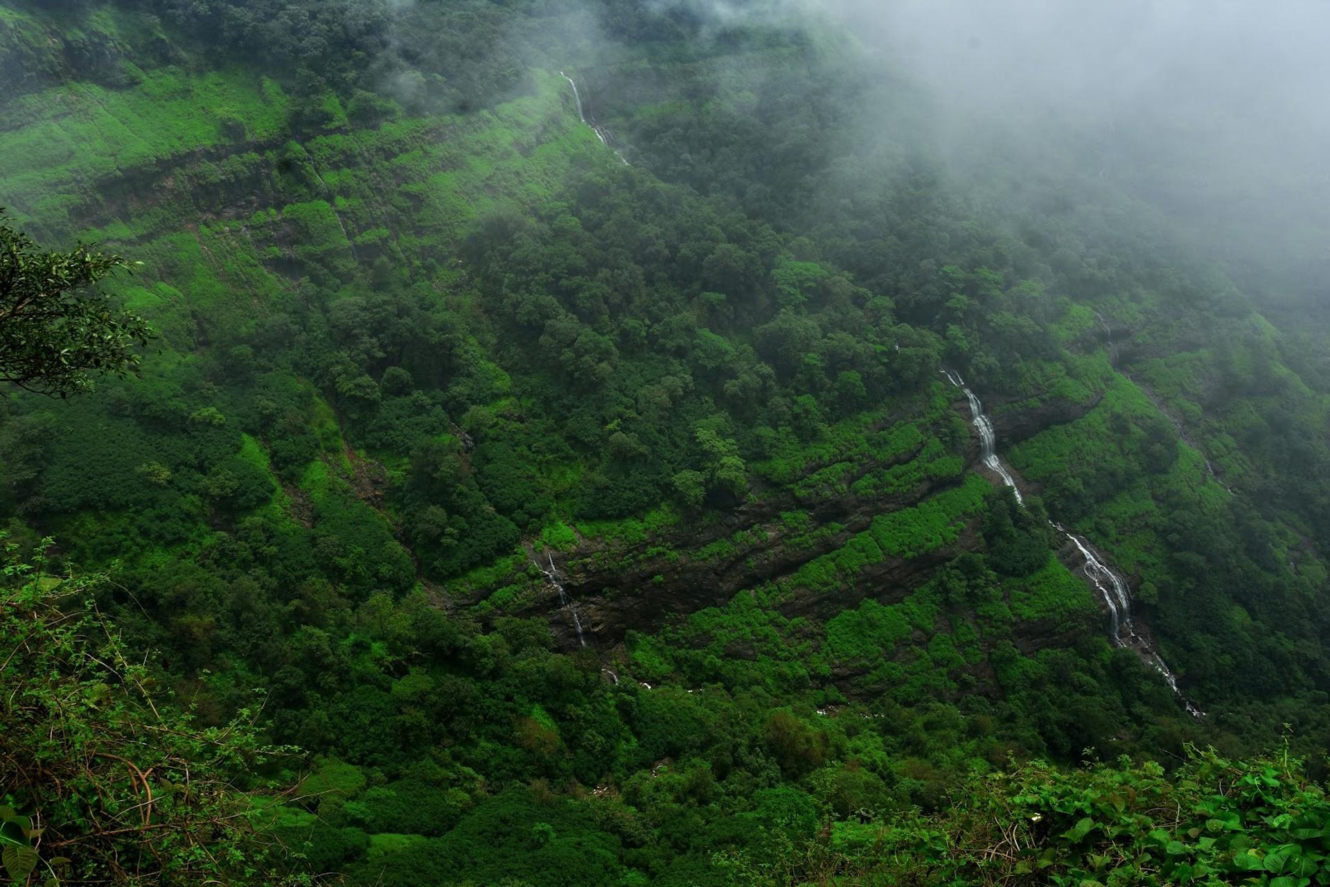 Lush green monsoon