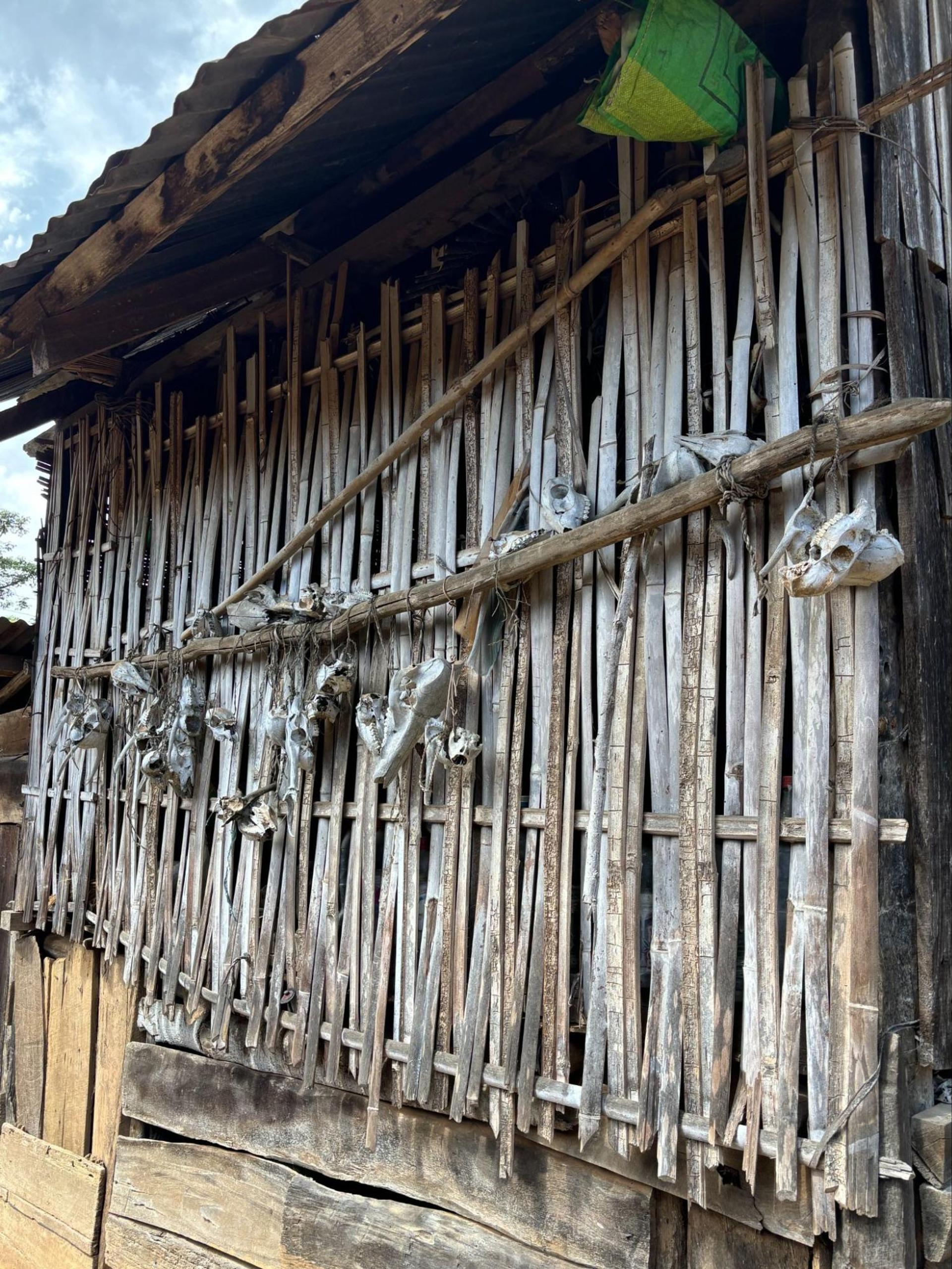 Animal sculls hanging in Konyak’s homes