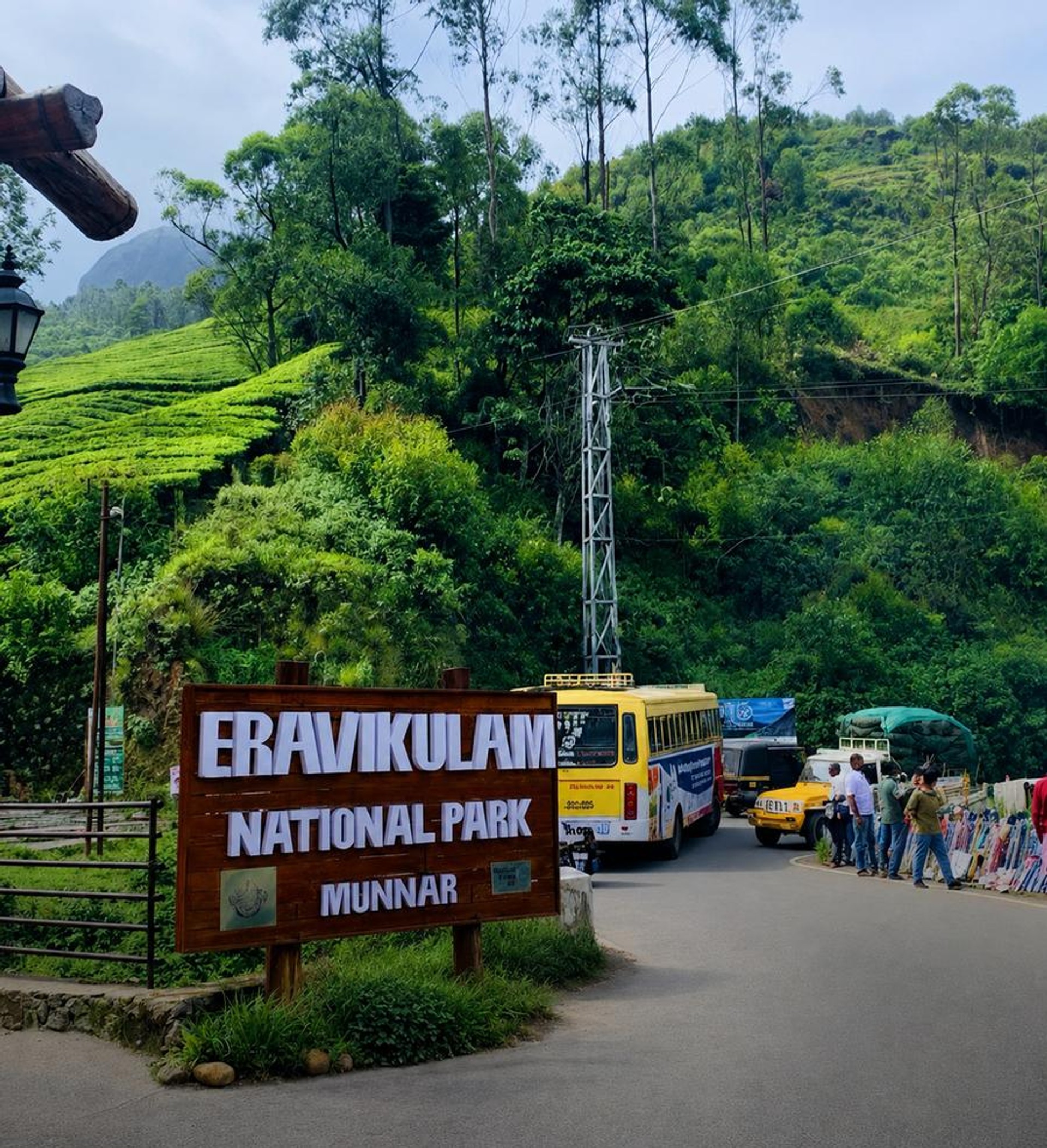 Eravikulam National Park with a backdrop of tea gardens
