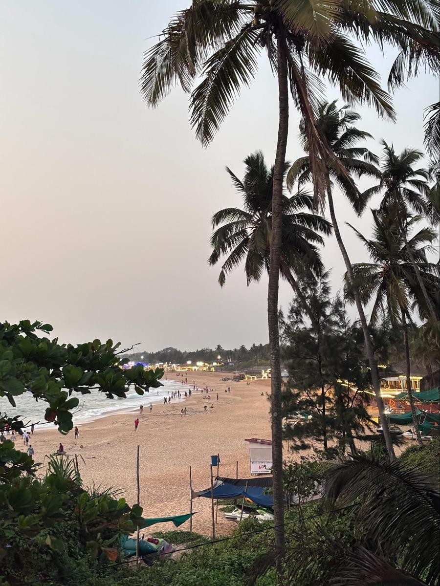 Beach View and Sunset