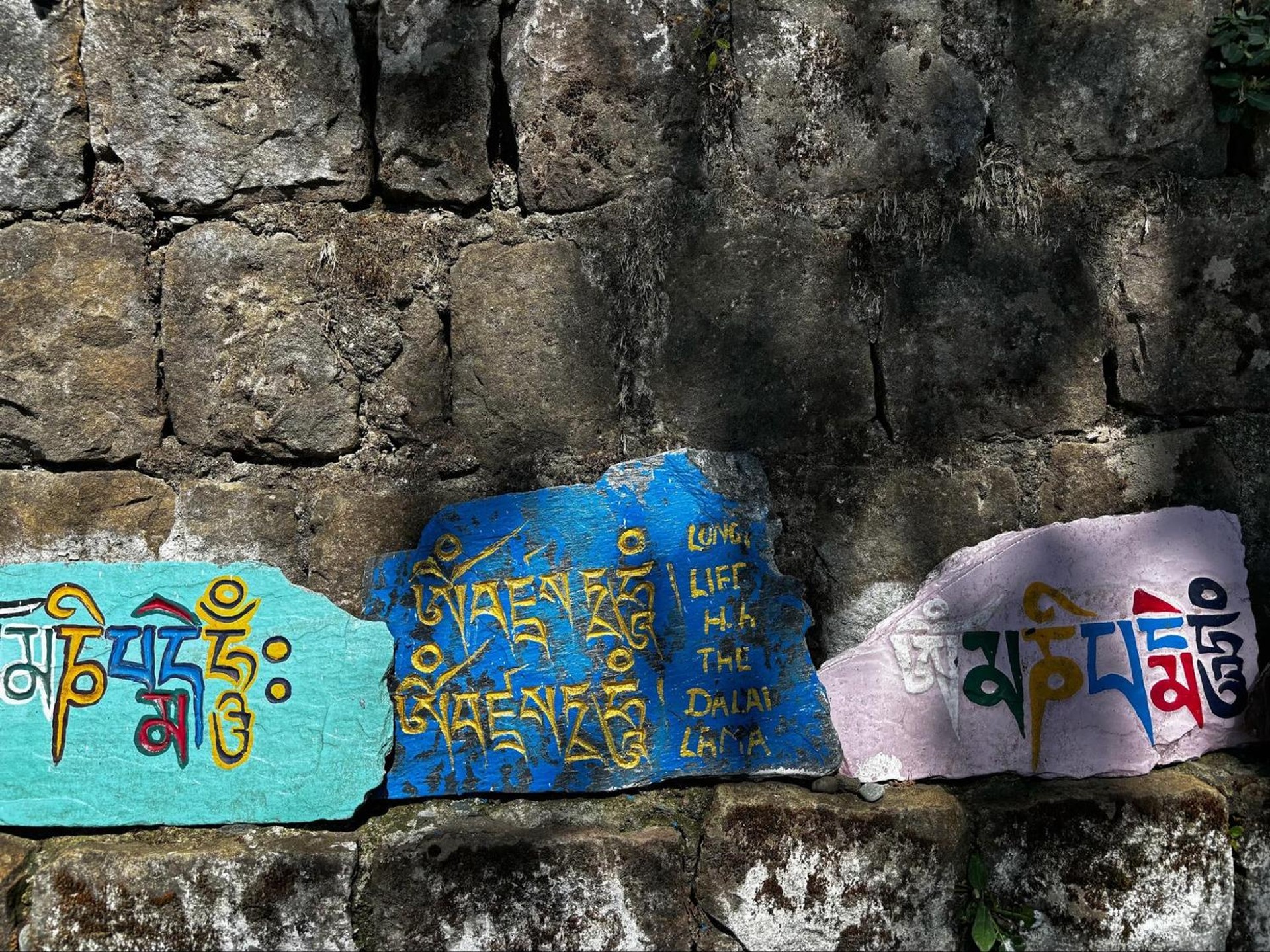 McLeod Ganj Tibetan inscriptions