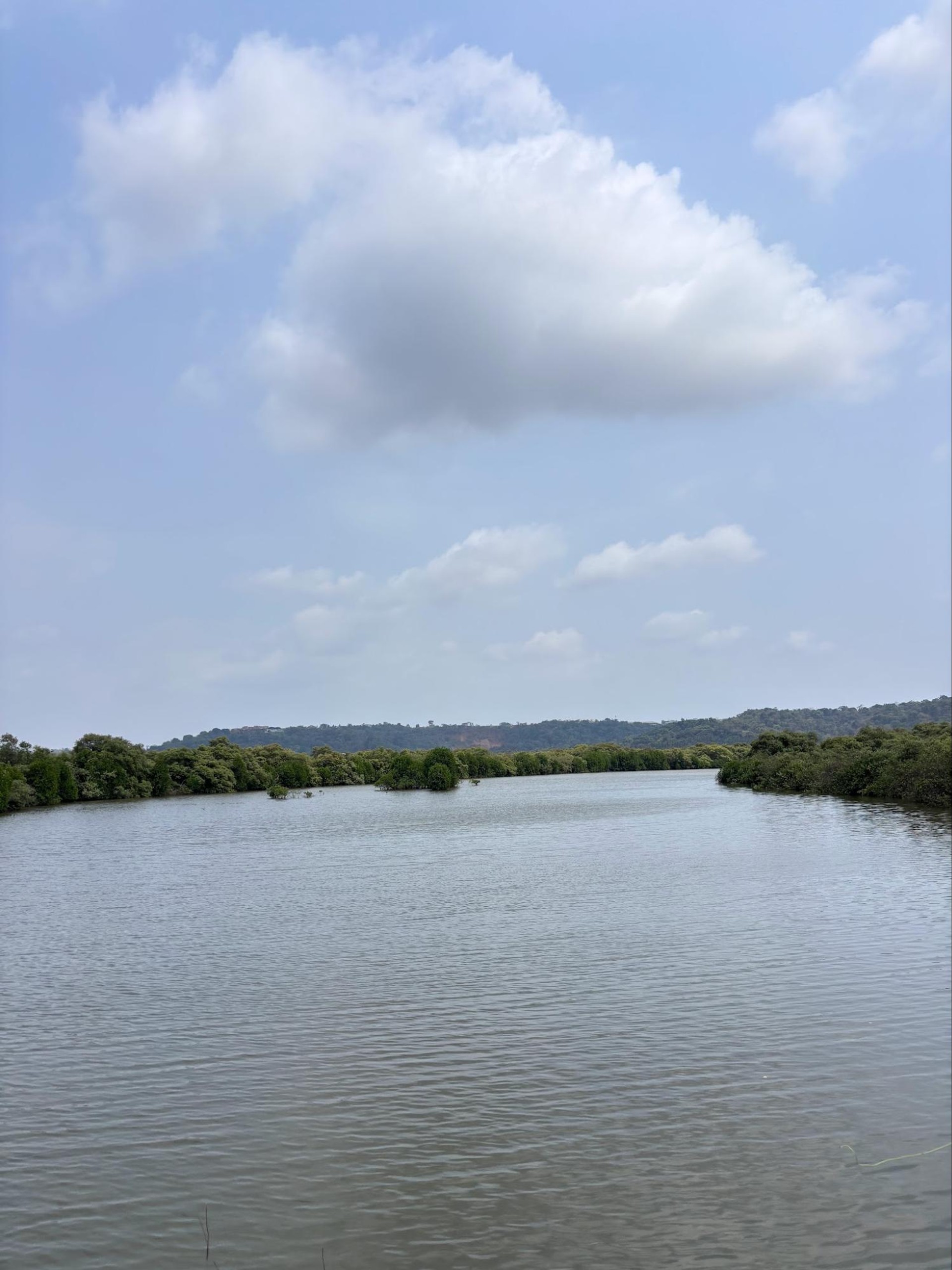 Mandovi River from Divar Island