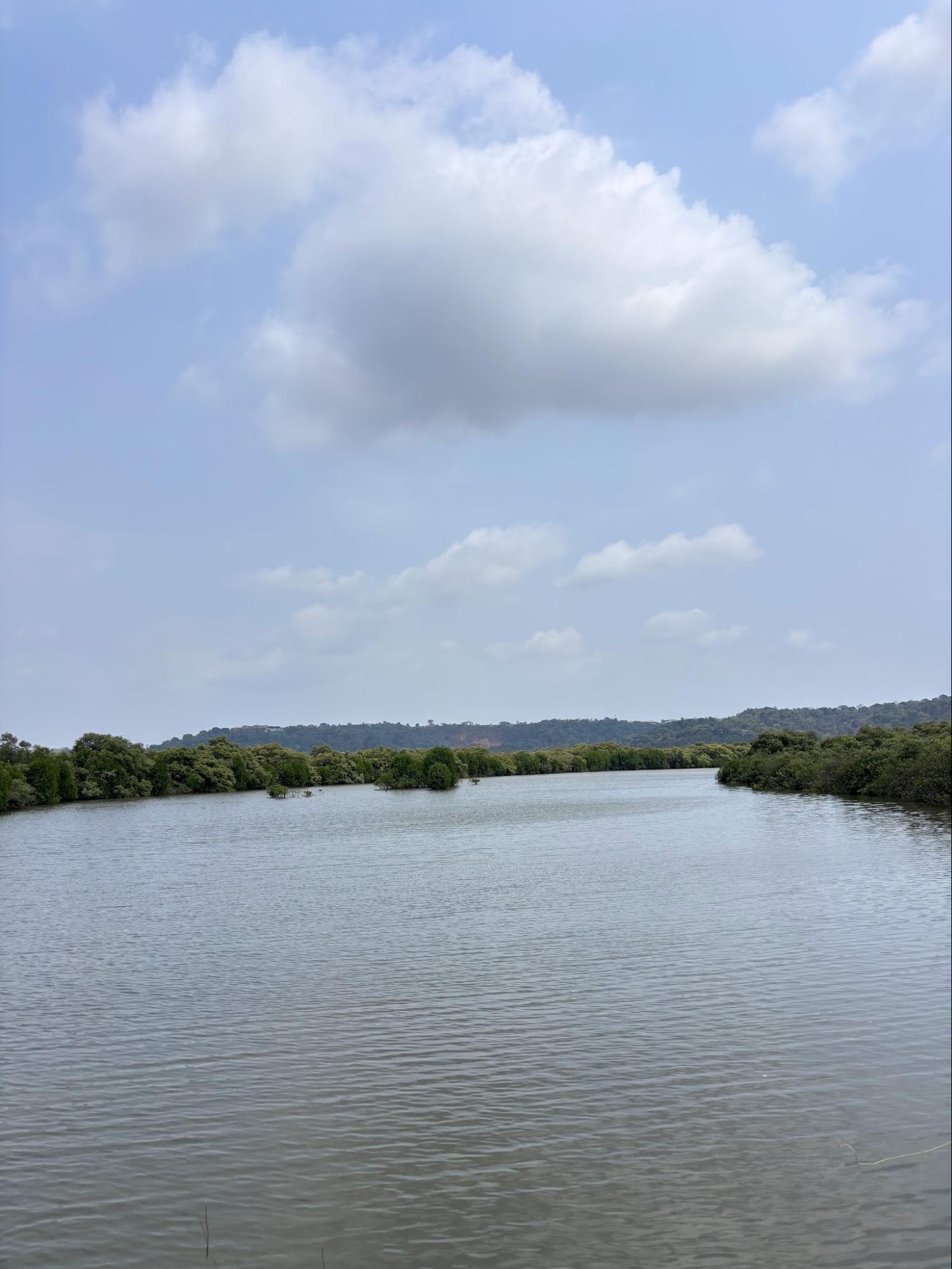 Mandovi River from Divar Island