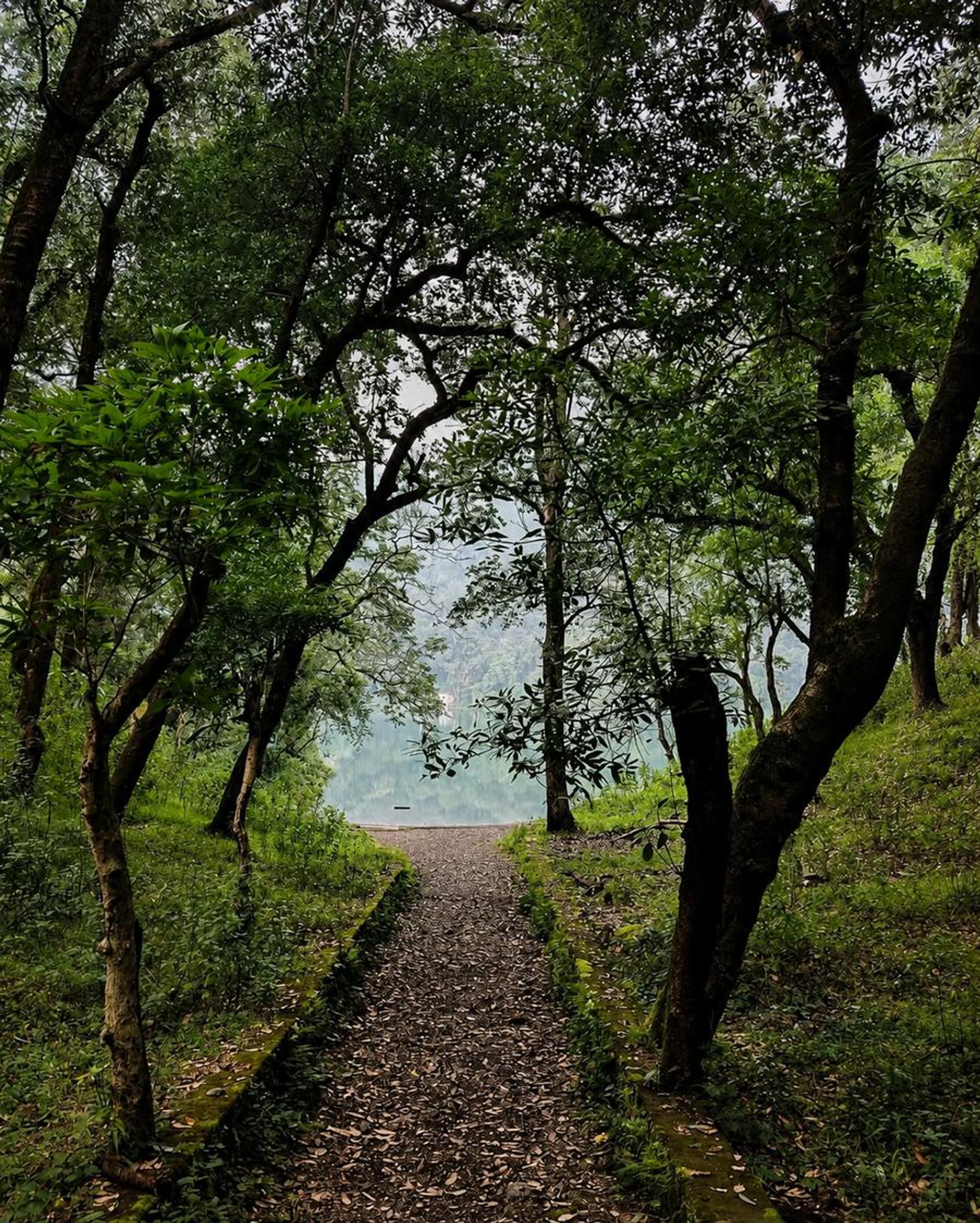 Alley leading to Bhimtal Lake