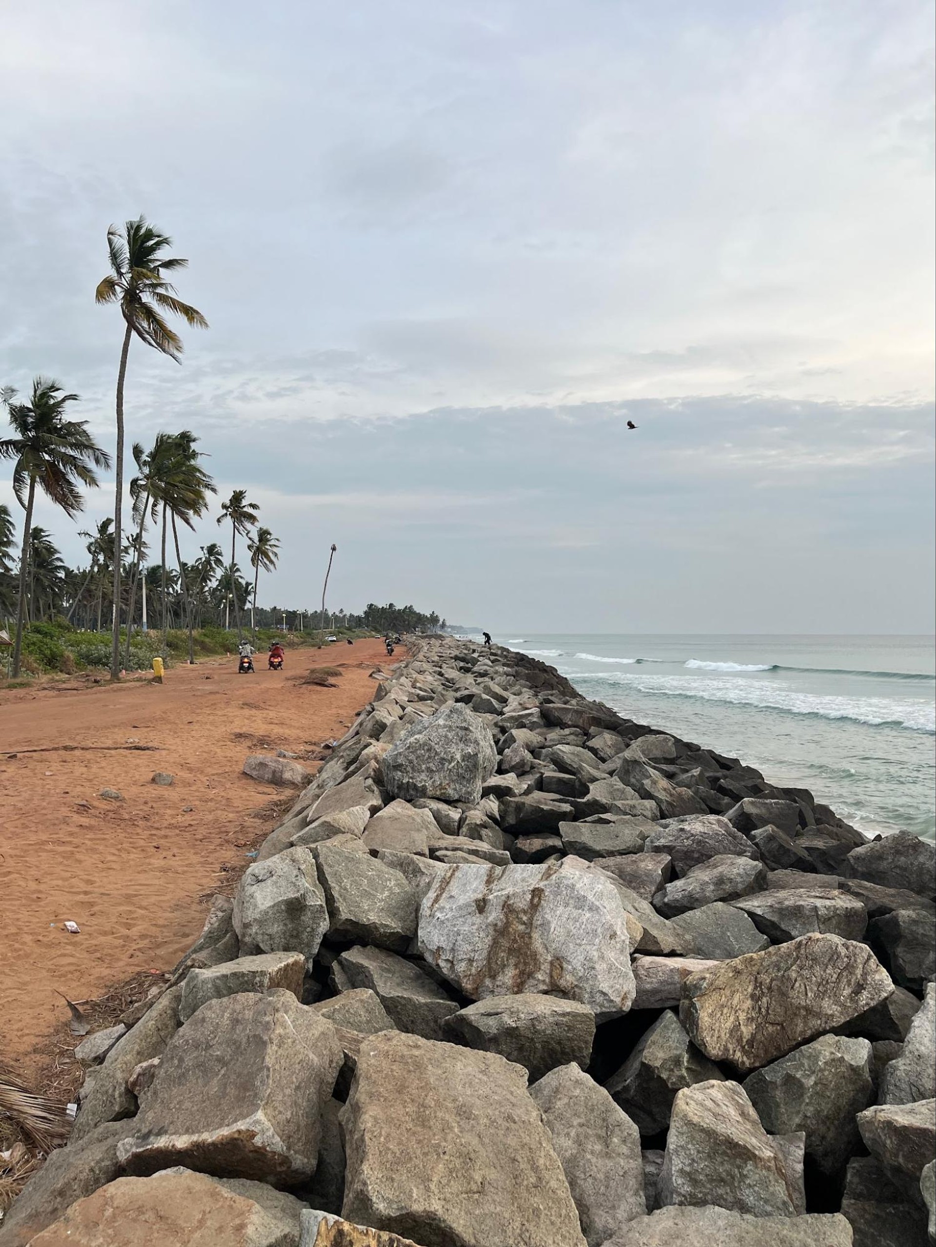The Malabar Coastlines