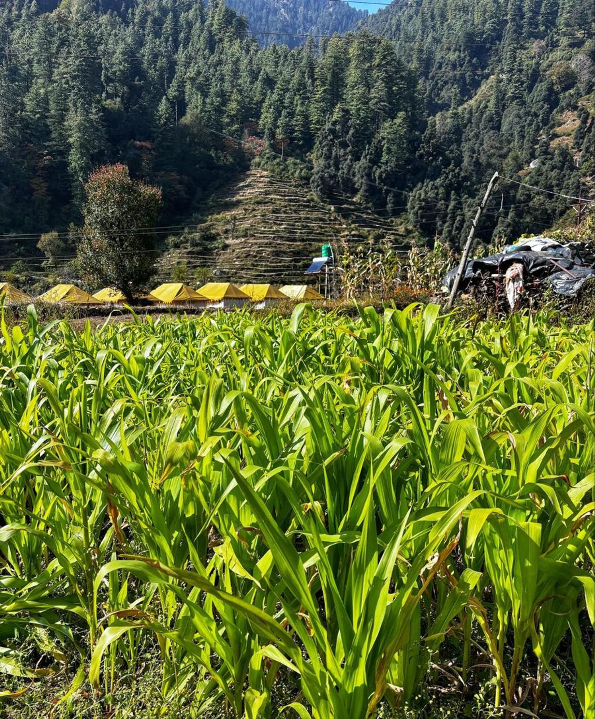 Barot Valley