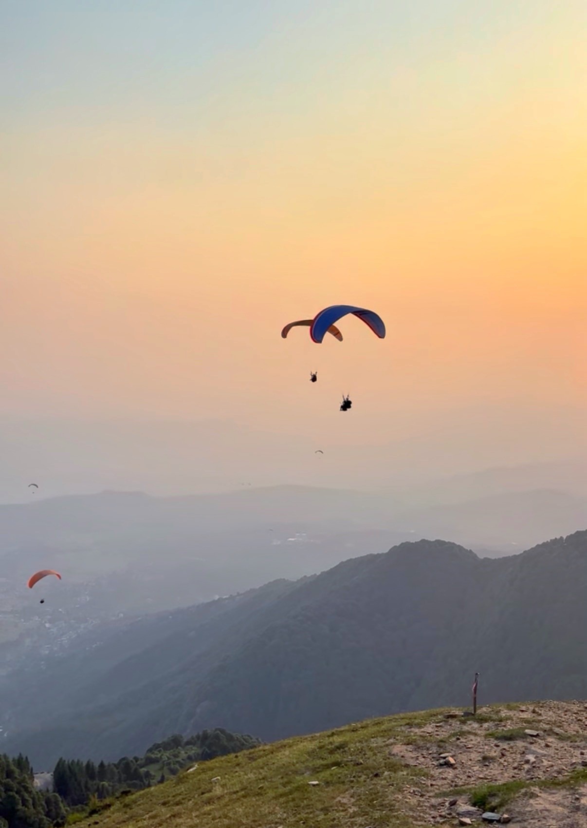 Bir Billing paragliding