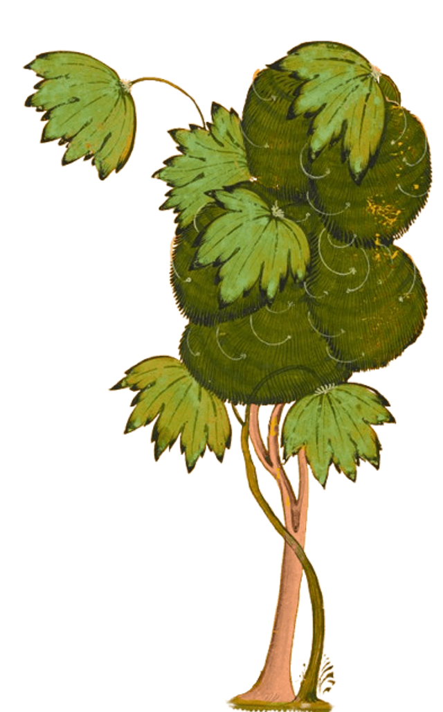 Decoration tree