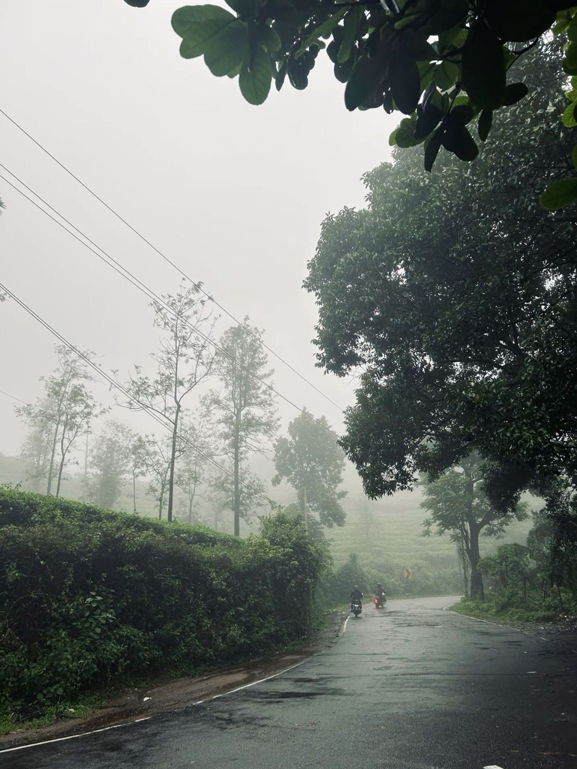 Vagamon misty road
