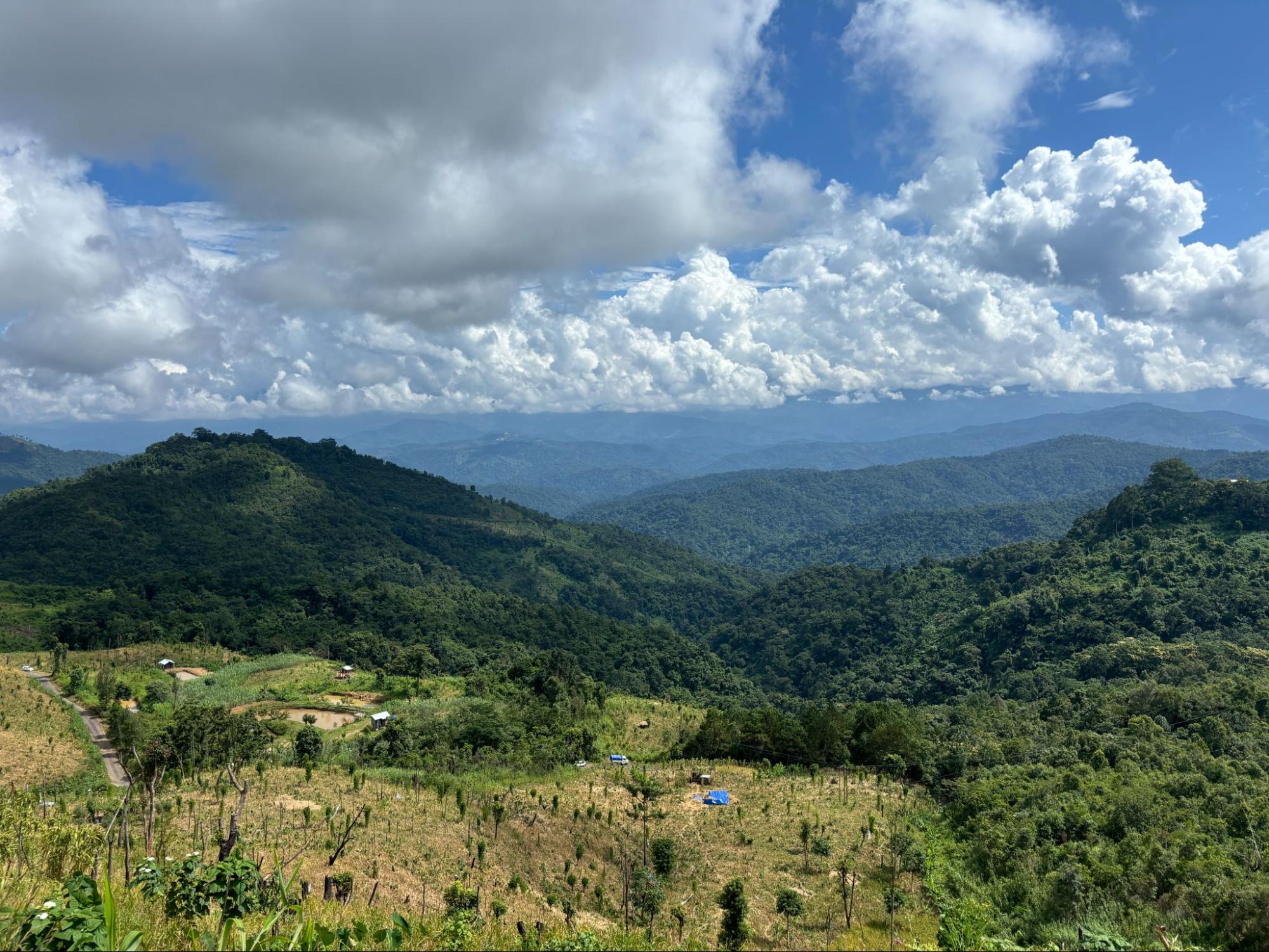 Konyak