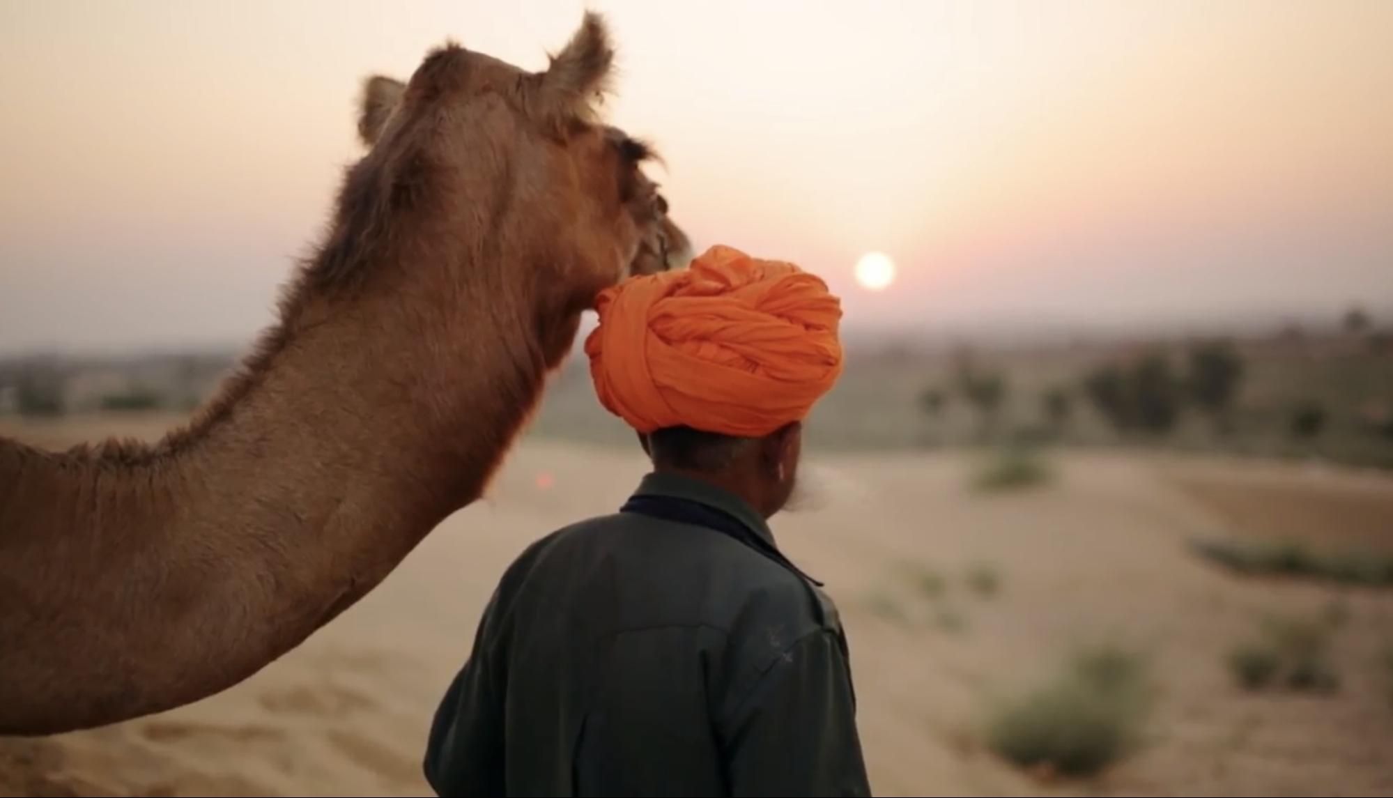 Thar Desert