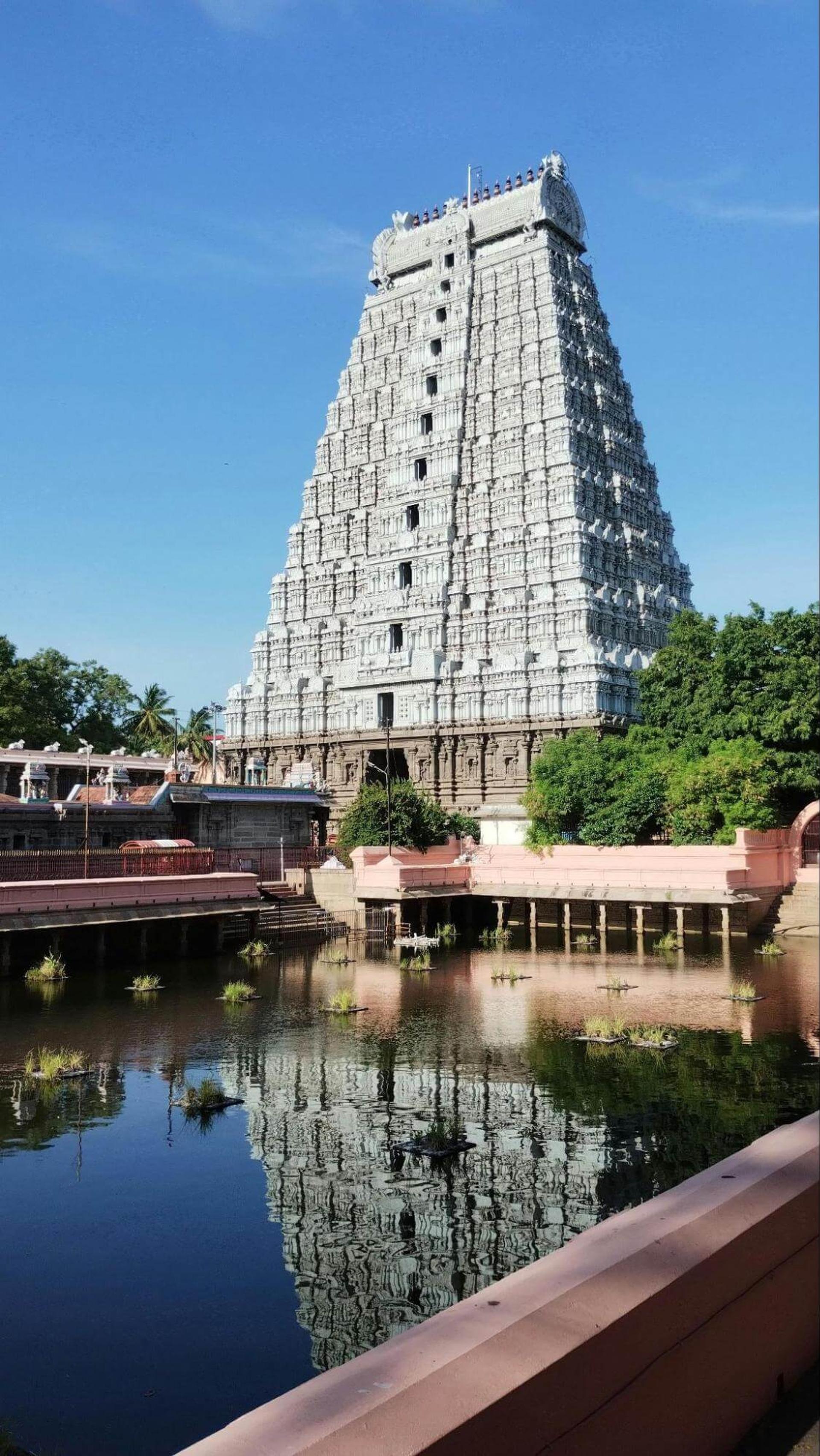  Meenakshi Amman Temple
