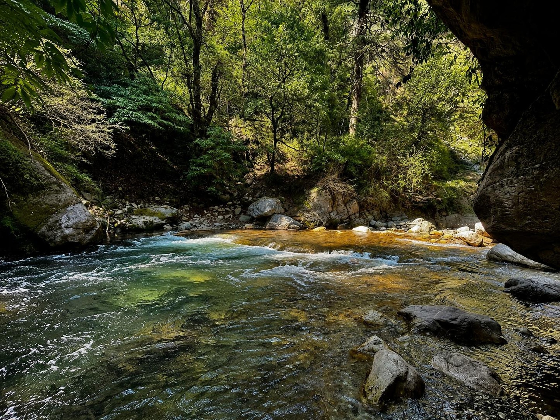 Jibhi trek