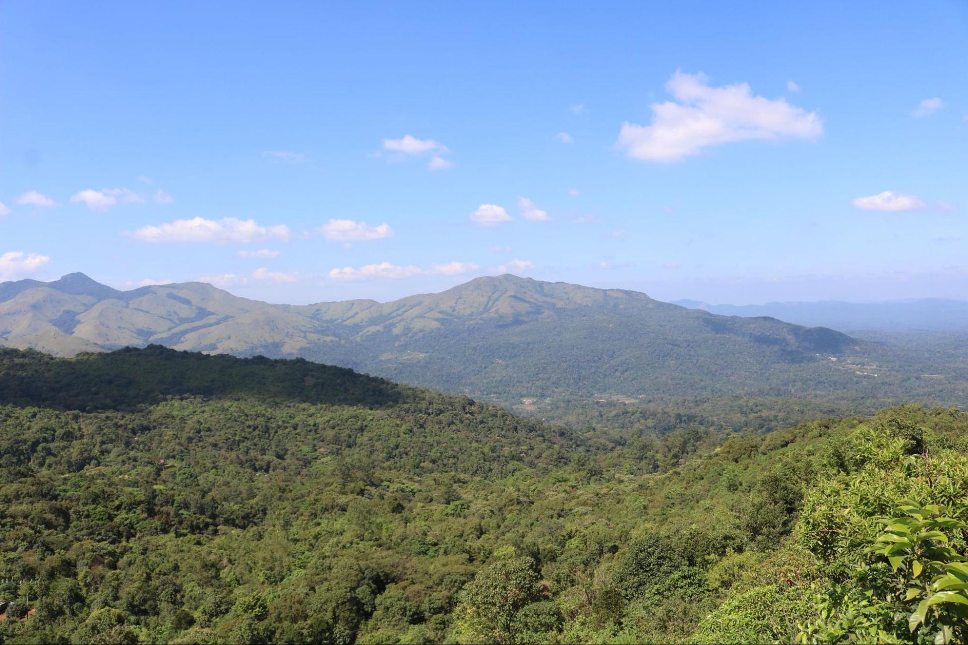Tadiandamol peak top view
