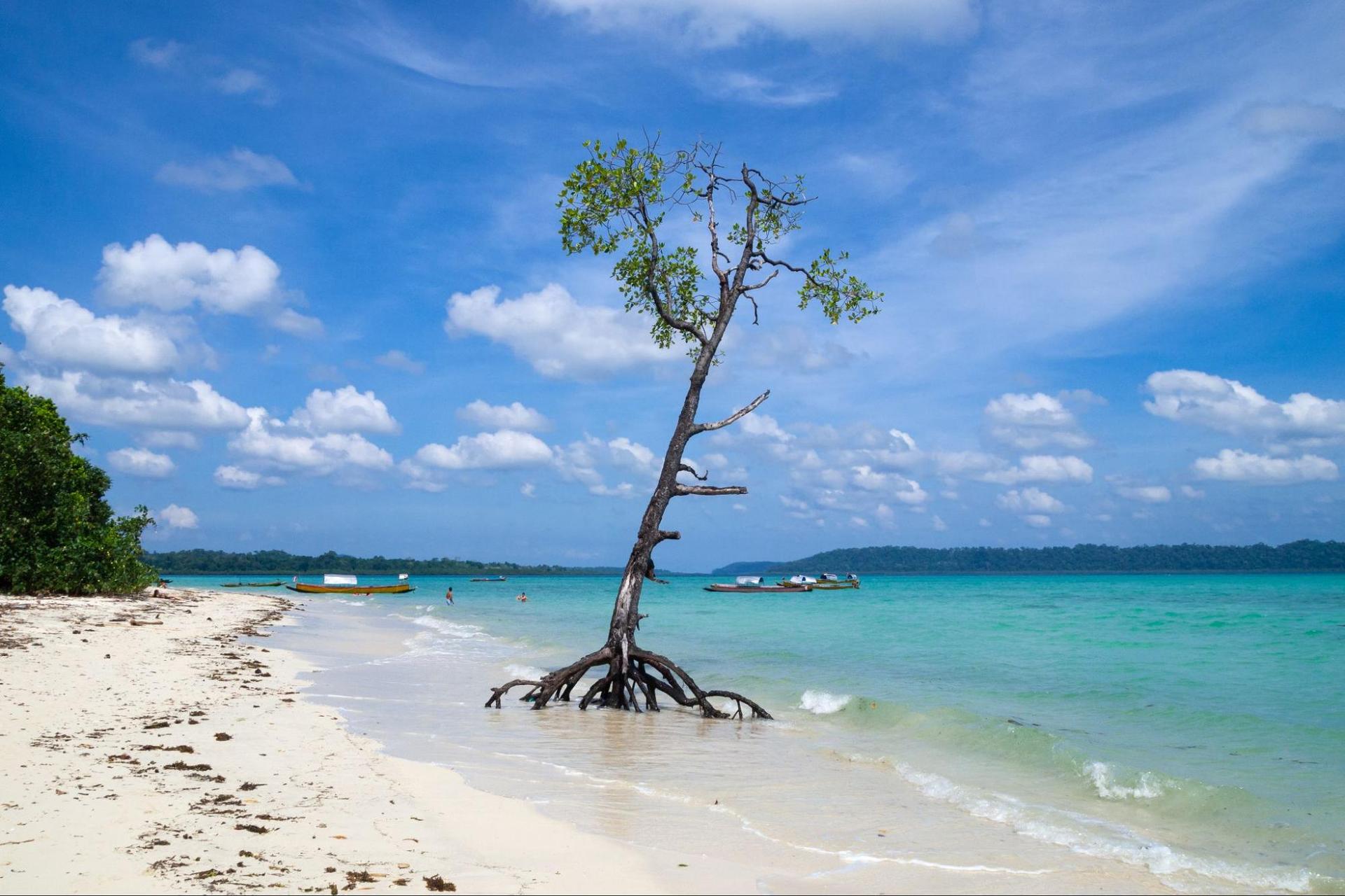 Beach on Andaman & Nicobar island