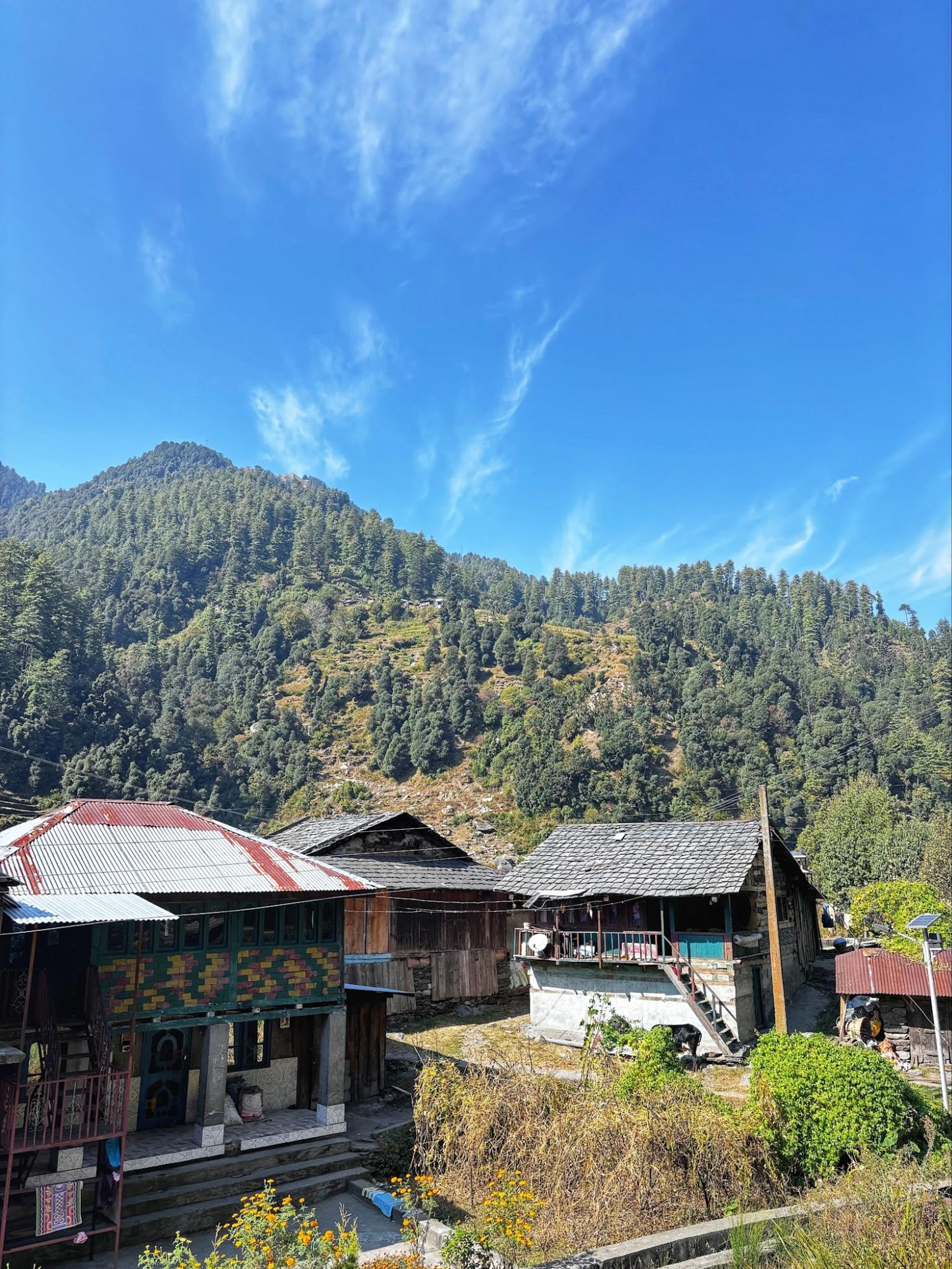 Barot Valley houses