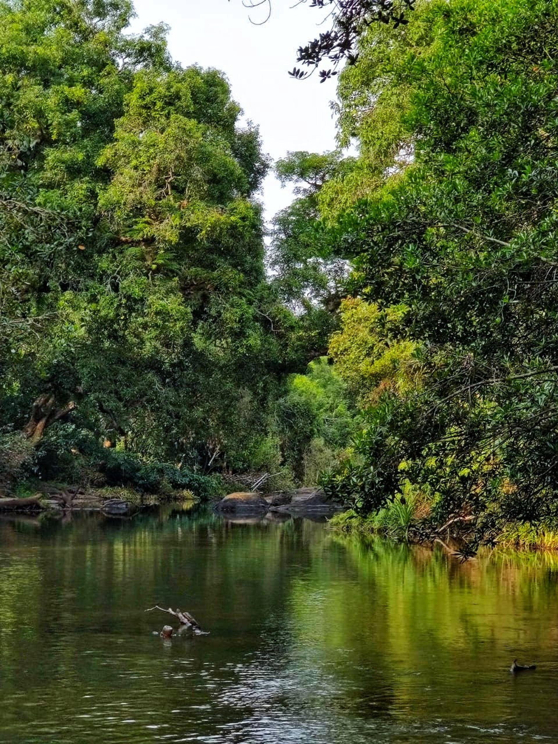 Coorg river activities