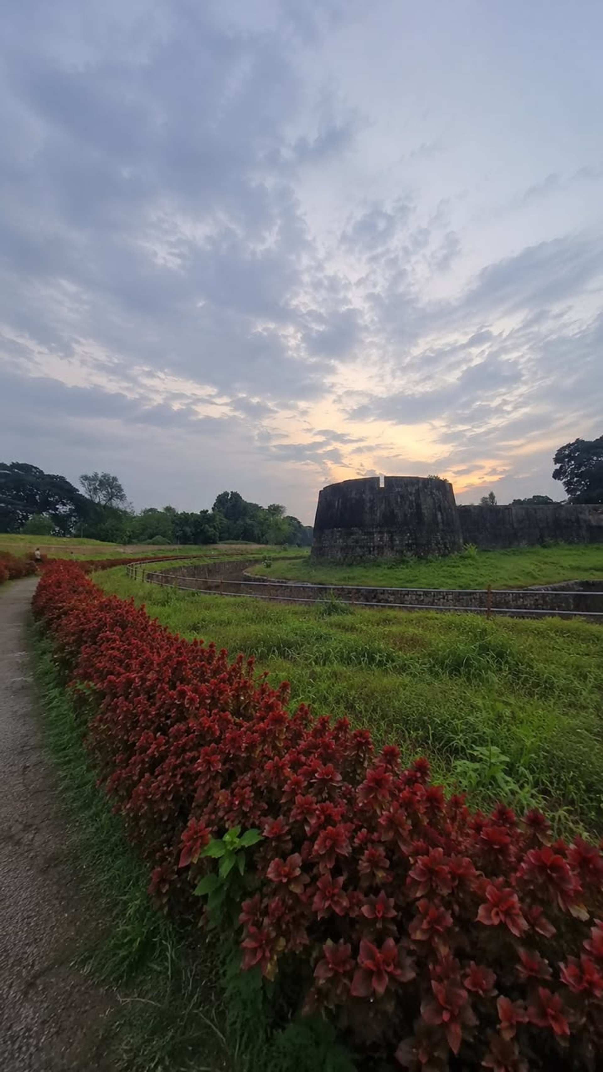 Pathways of Palakkad Fort filled with wild red flowers