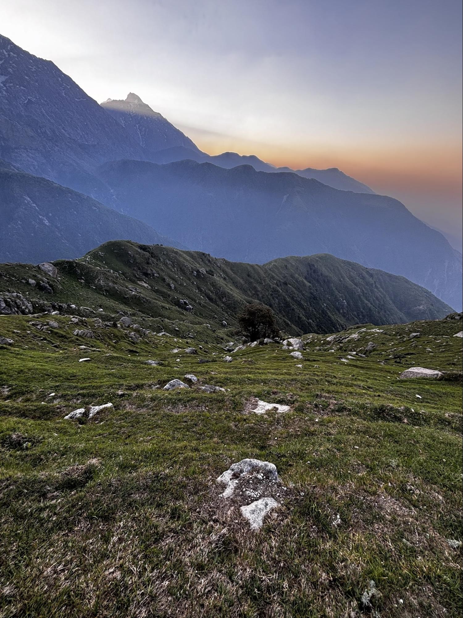 Triund trek