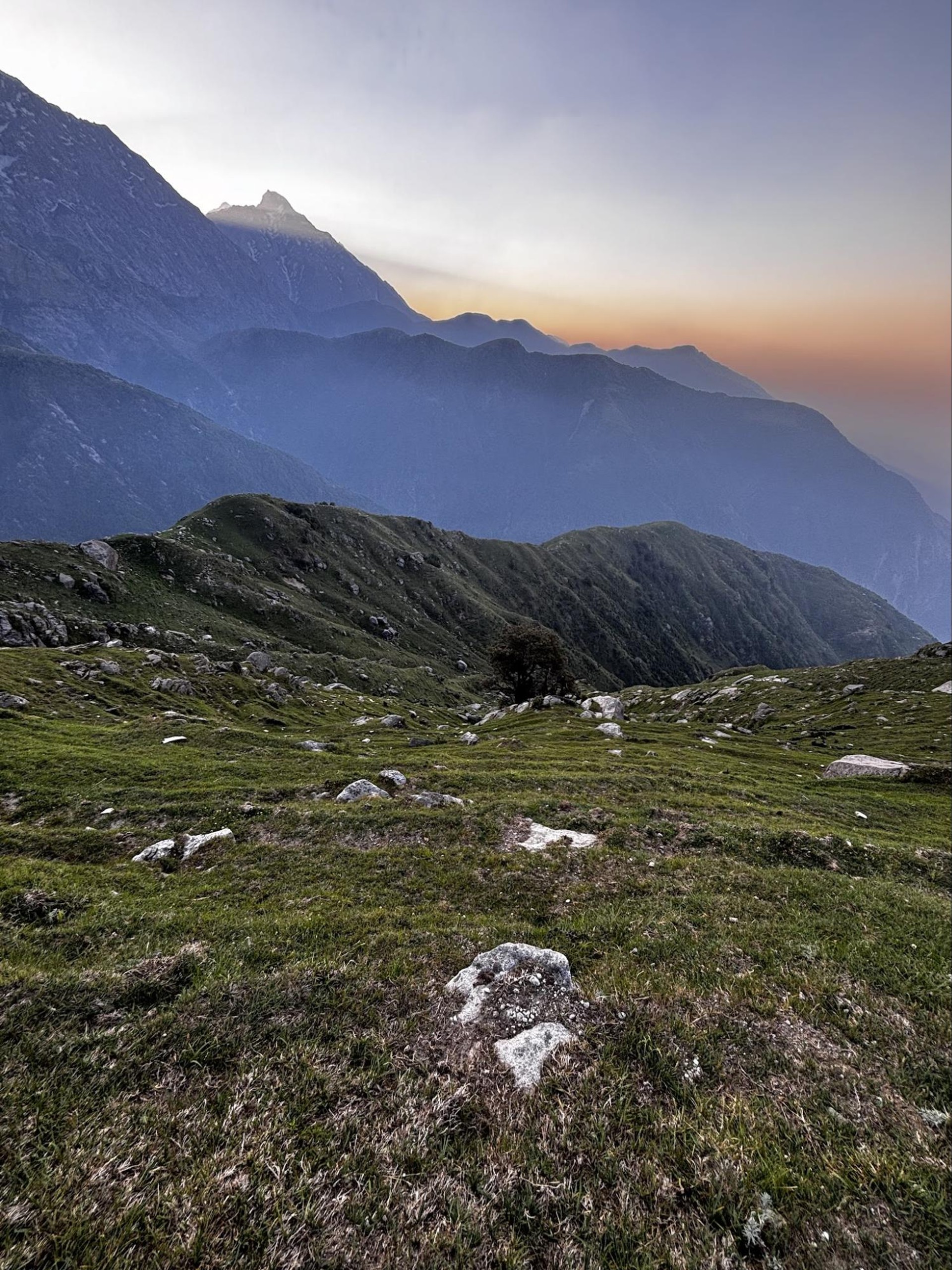 Triund trek